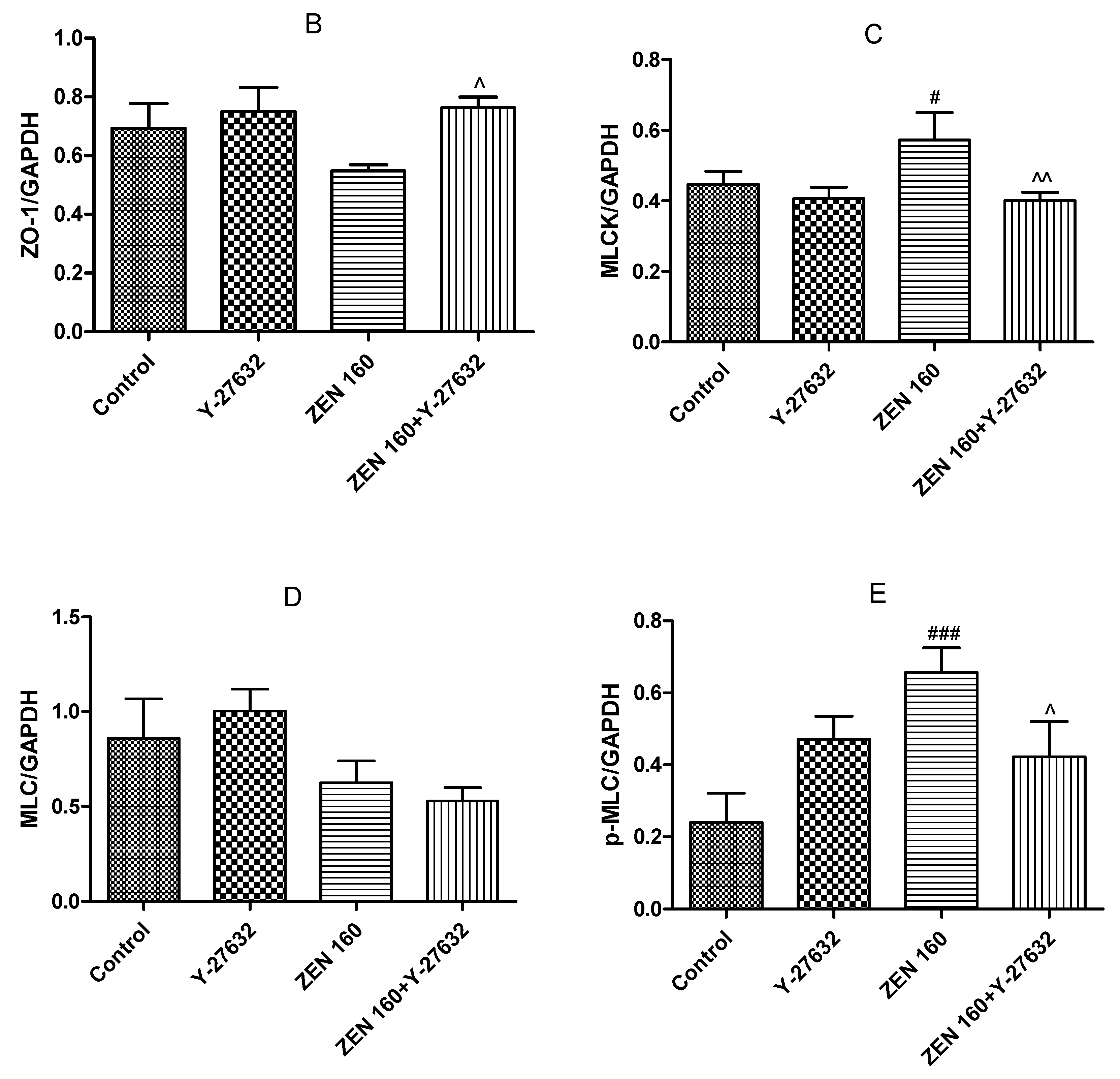 Ijms 23 12550 g009b Ijms 23 12550 g009b