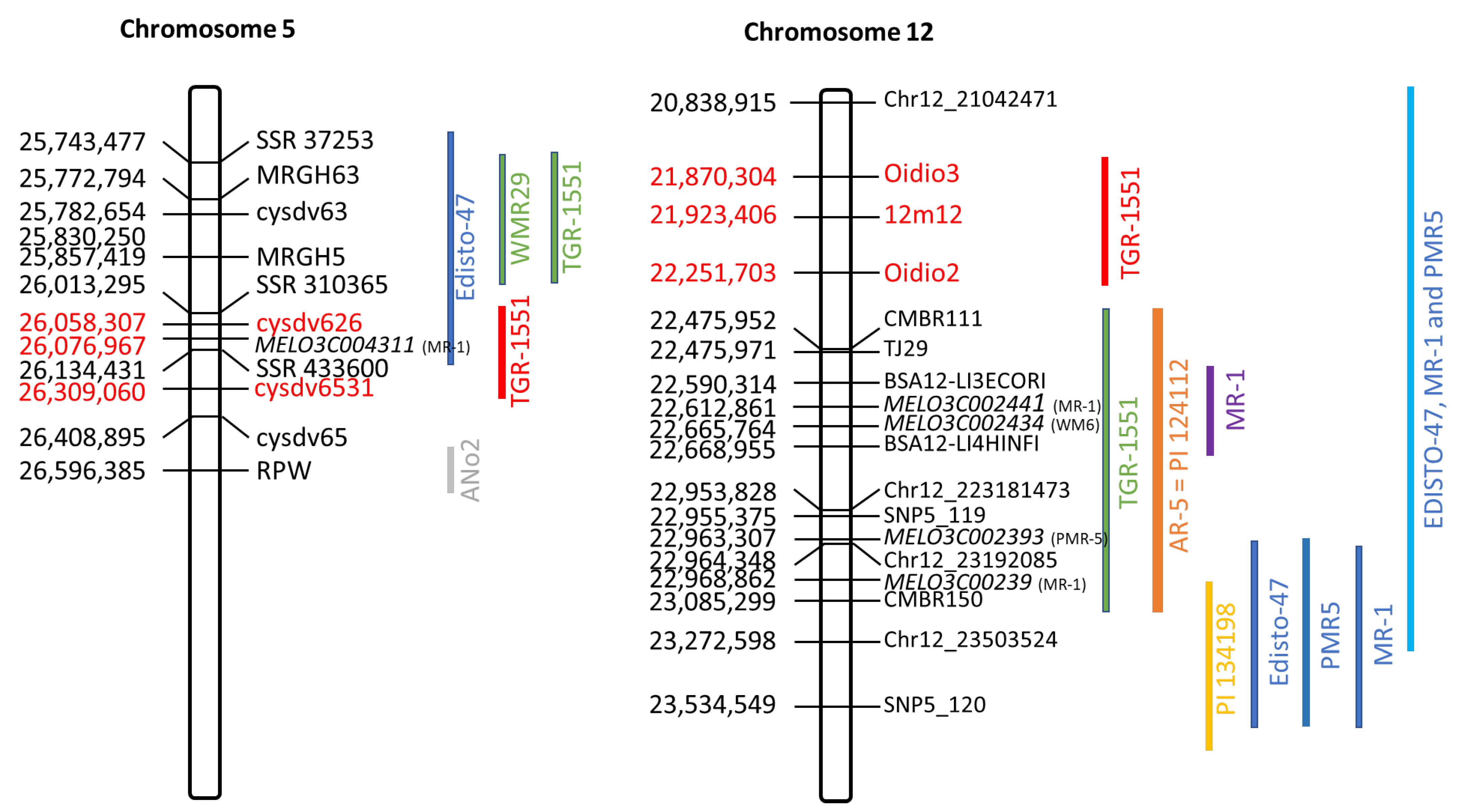 Ijms 23 12553 g001 Ijms 23 12553 g001
