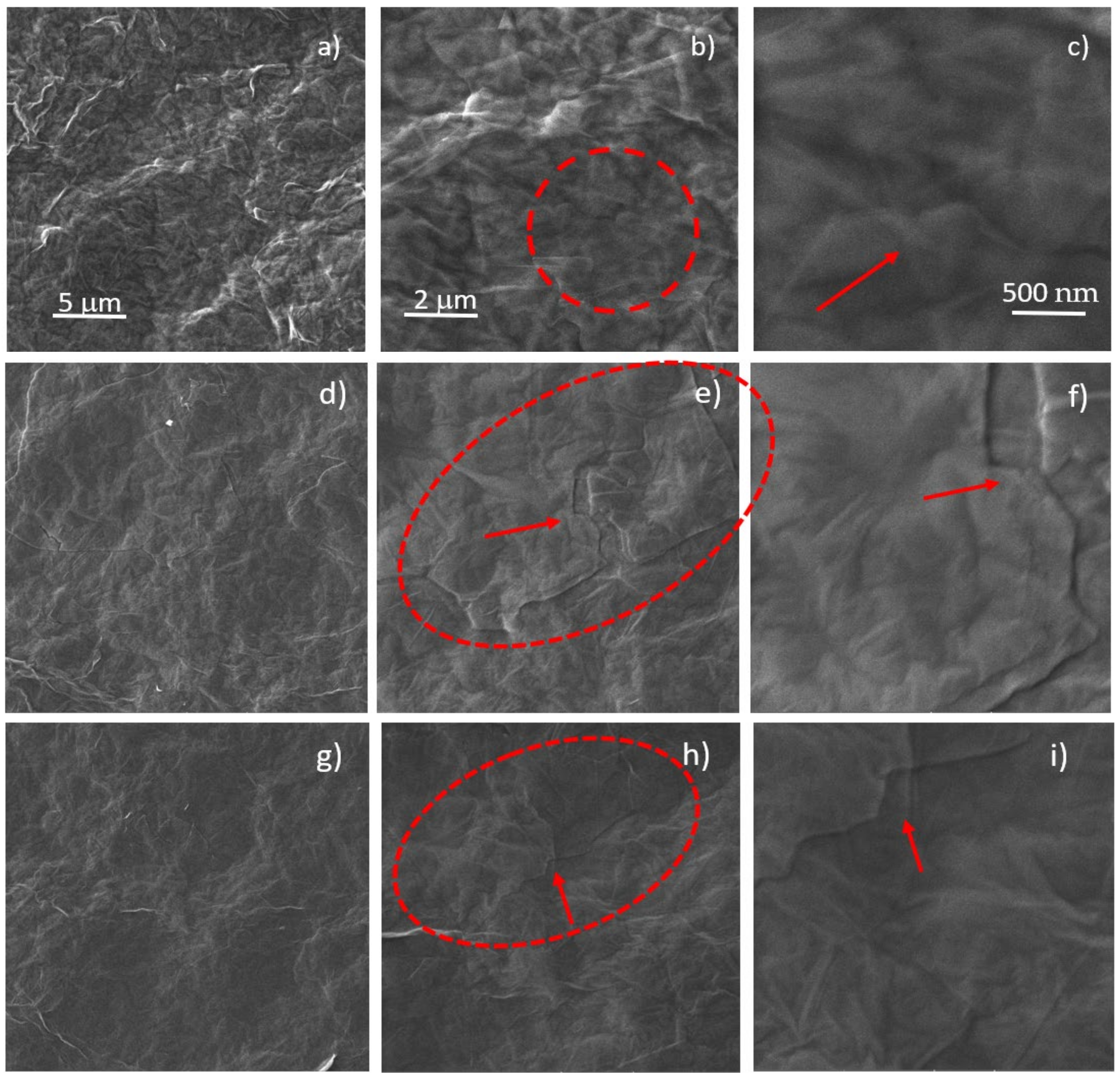 Ijms 23 12563 g003 Ijms 23 12563 g003