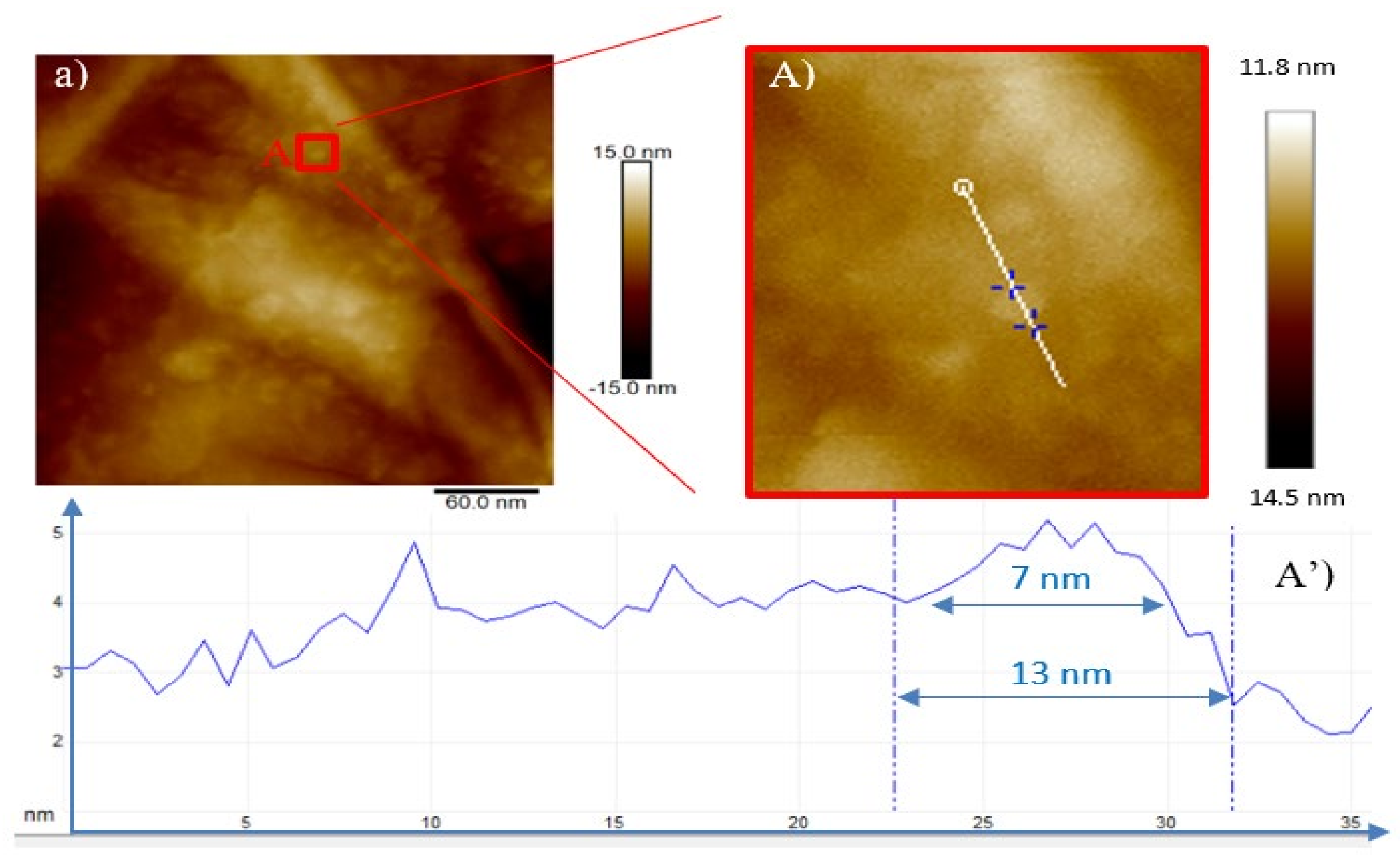 Ijms 23 12563 g005a Ijms 23 12563 g005a