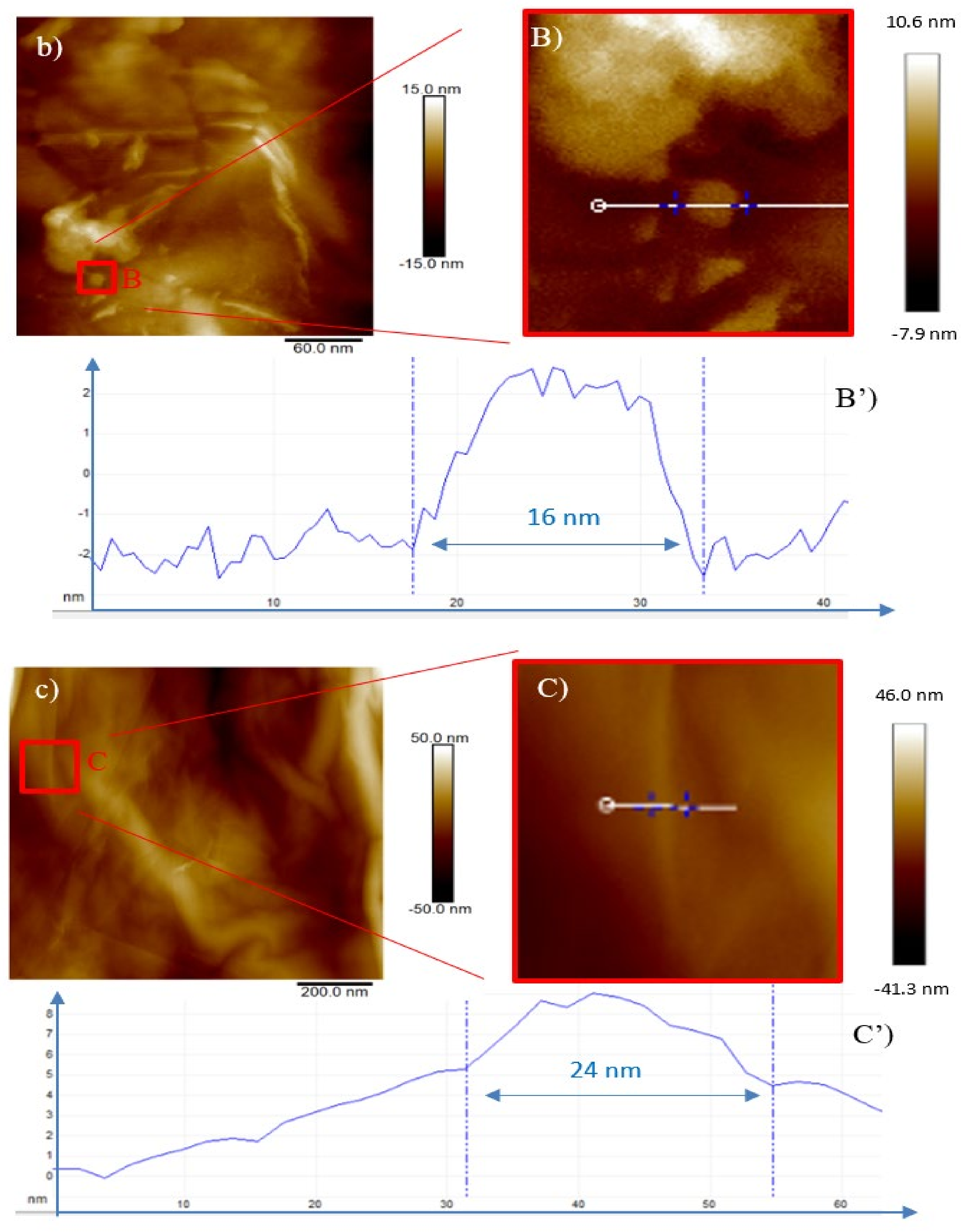 Ijms 23 12563 g005b Ijms 23 12563 g005b