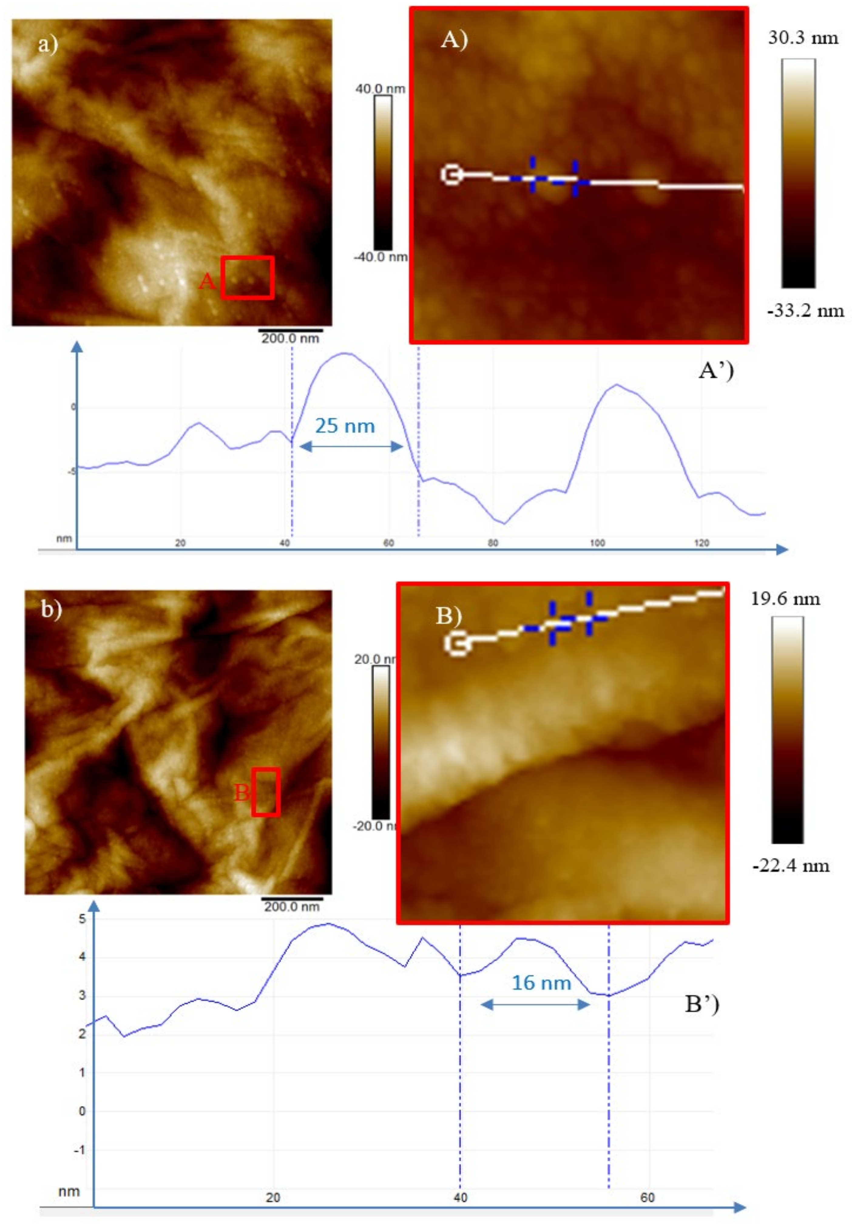 Ijms 23 12563 g006 Ijms 23 12563 g006