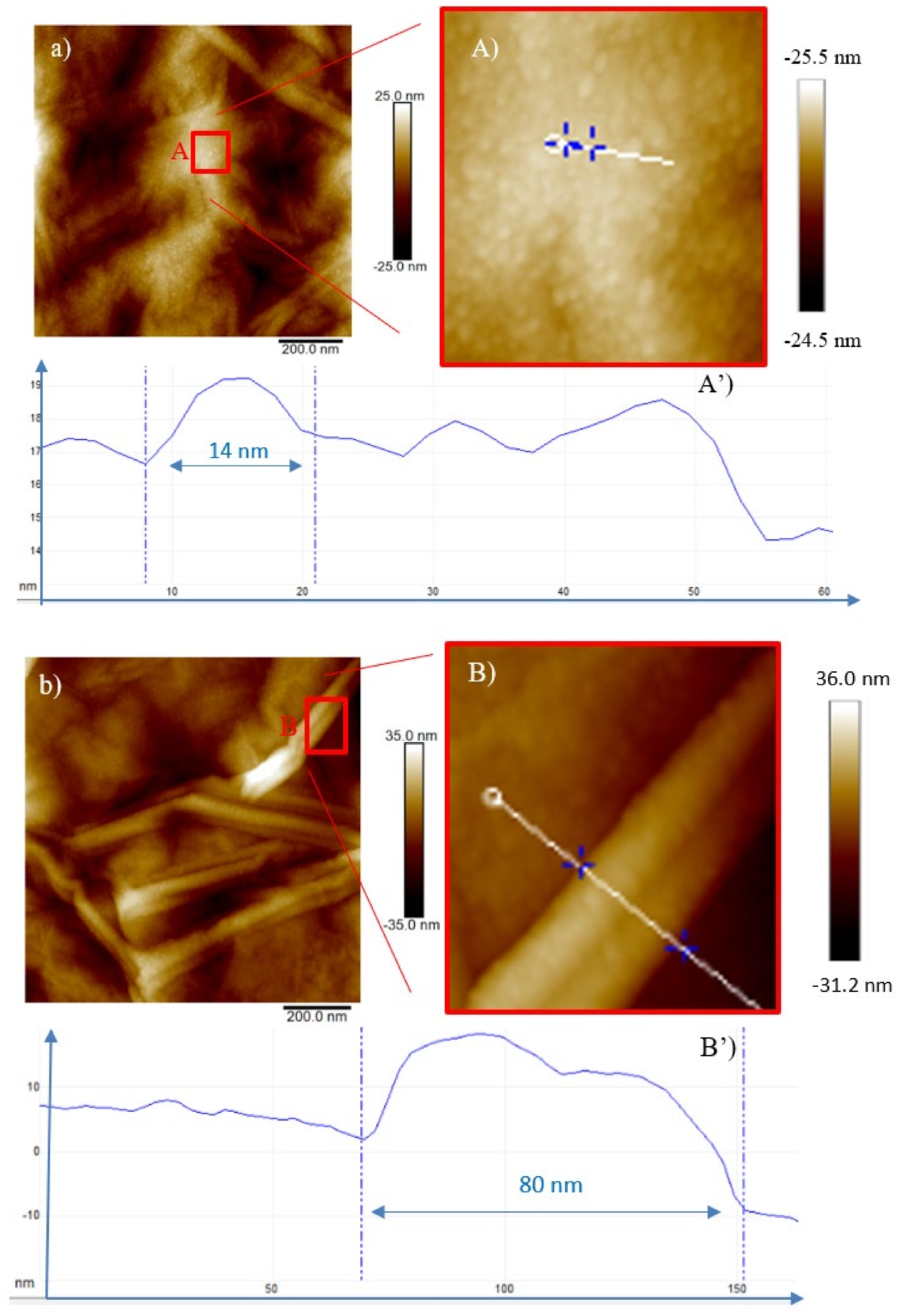 Ijms 23 12563 g007 Ijms 23 12563 g007