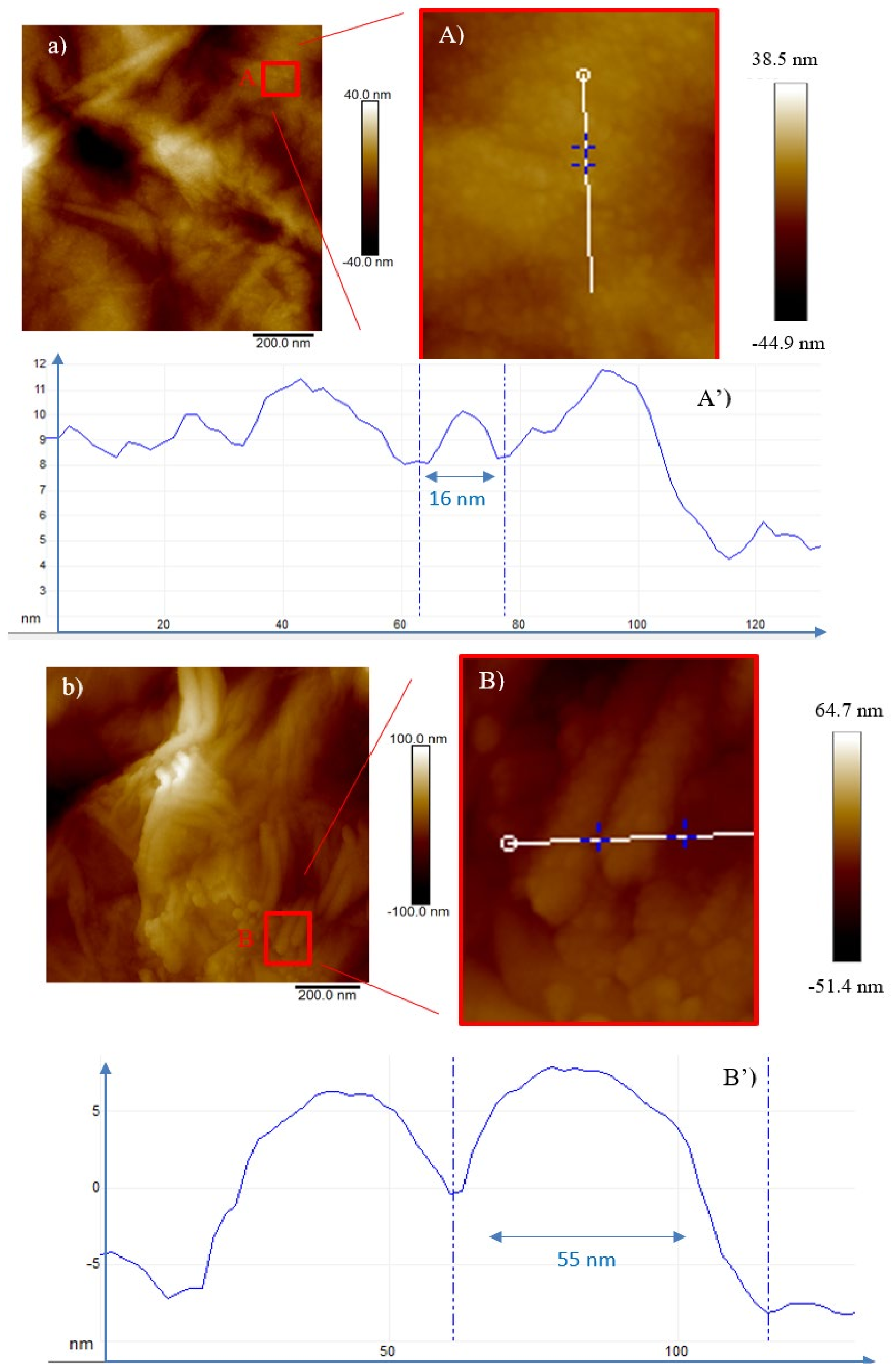 Ijms 23 12563 g008 Ijms 23 12563 g008