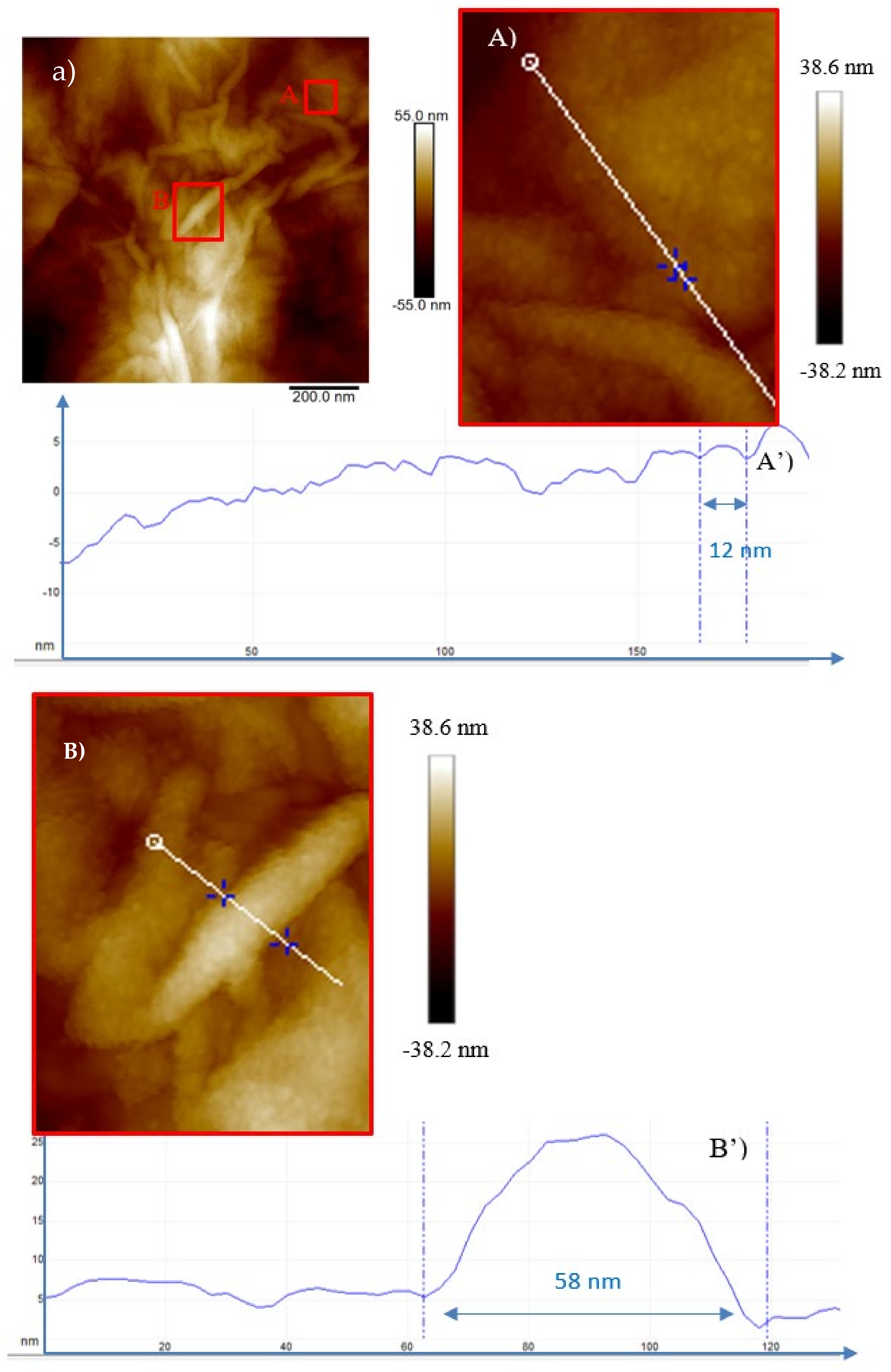 Ijms 23 12563 g009 Ijms 23 12563 g009