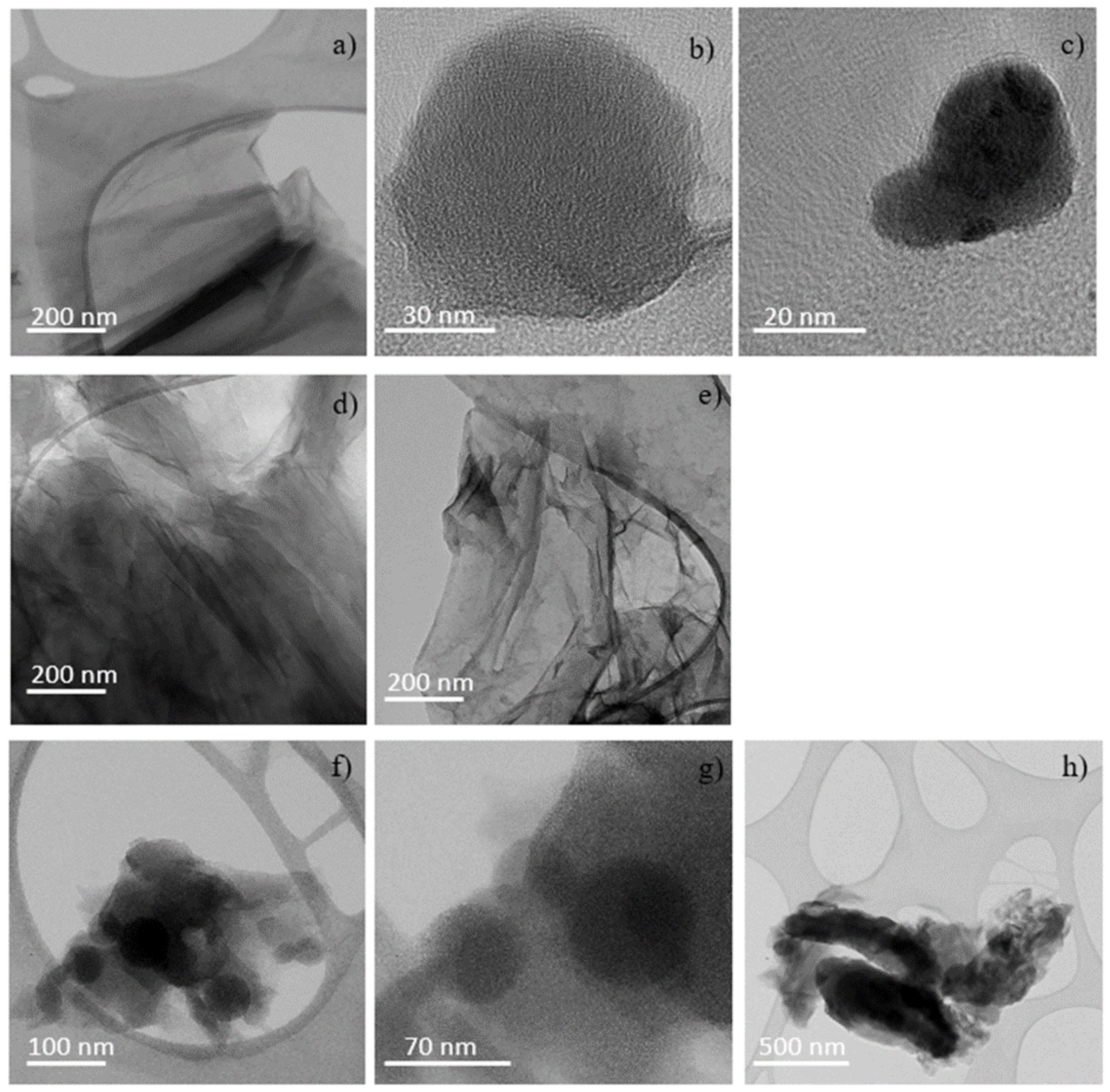 Ijms 23 12563 g010 Ijms 23 12563 g010