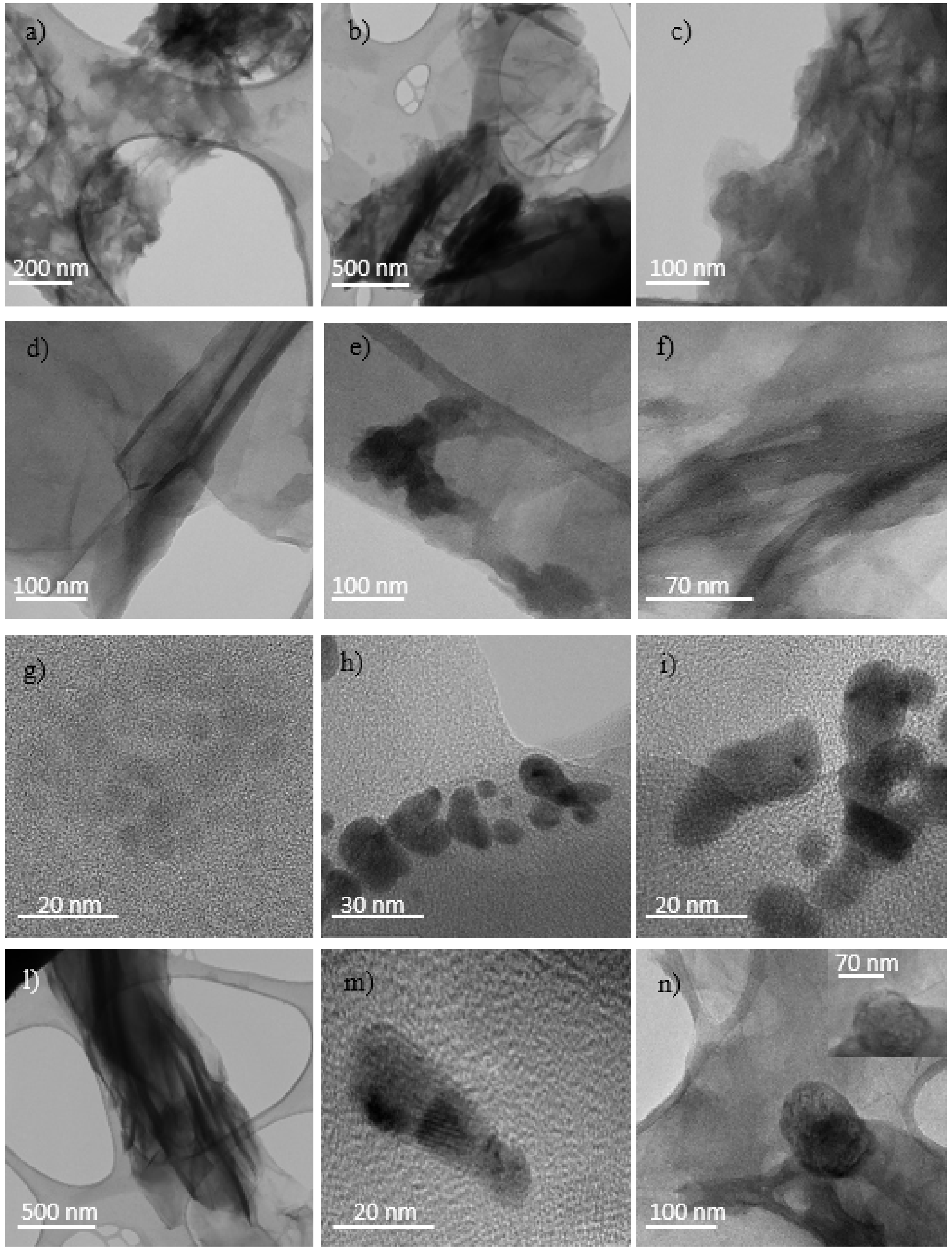 Ijms 23 12563 g011 Ijms 23 12563 g011