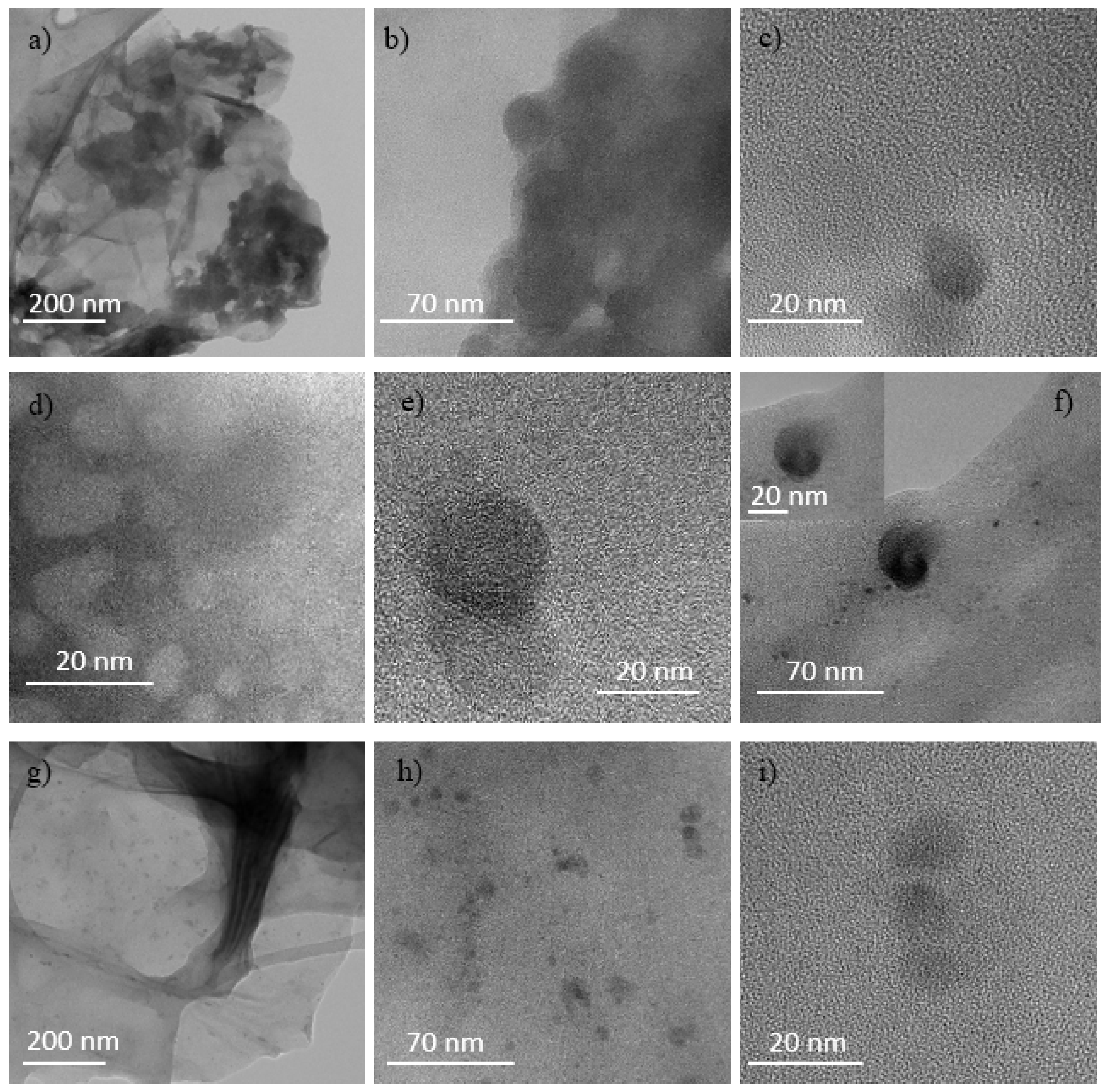 Ijms 23 12563 g012 Ijms 23 12563 g012