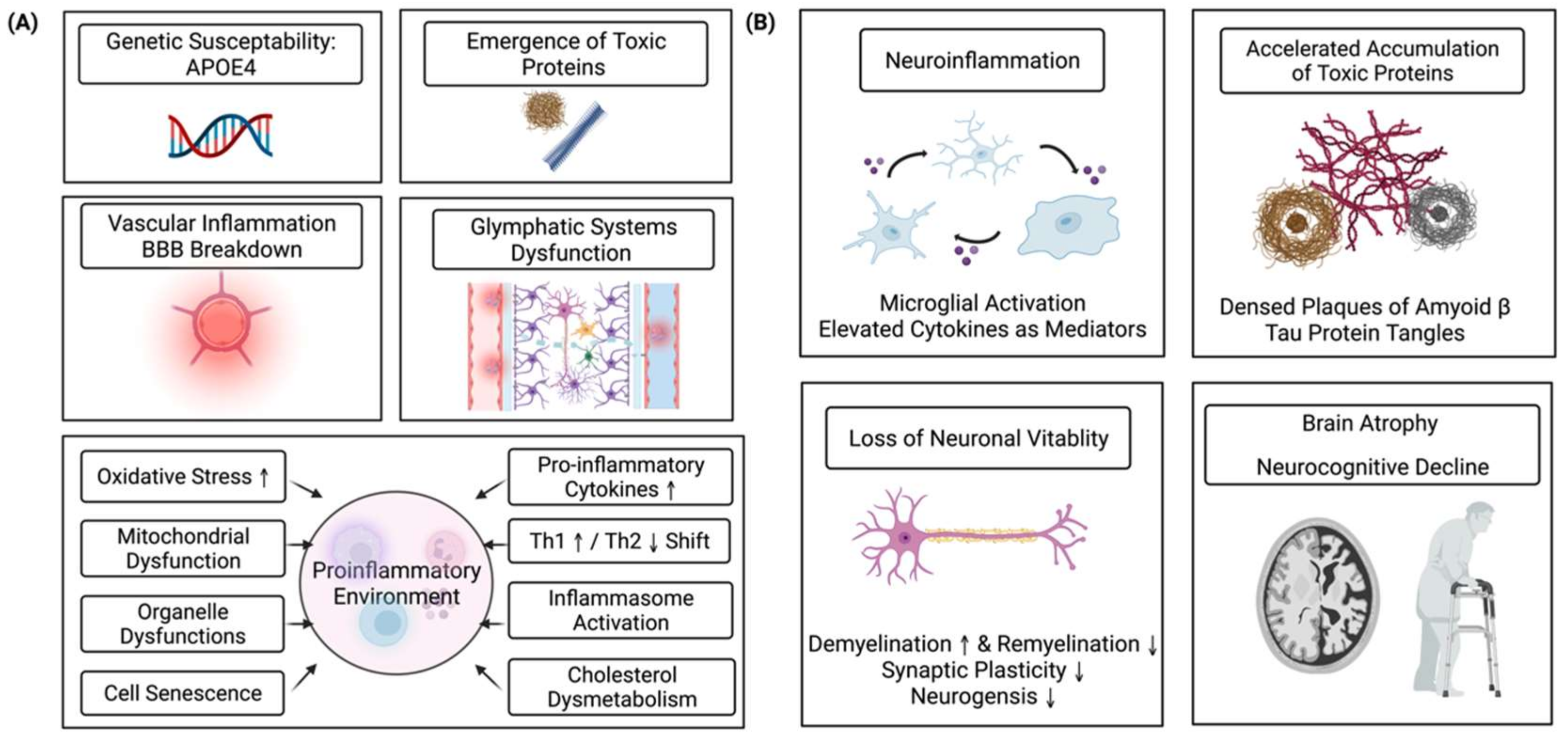 Ijms 23 12573 g001 Ijms 23 12573 g001