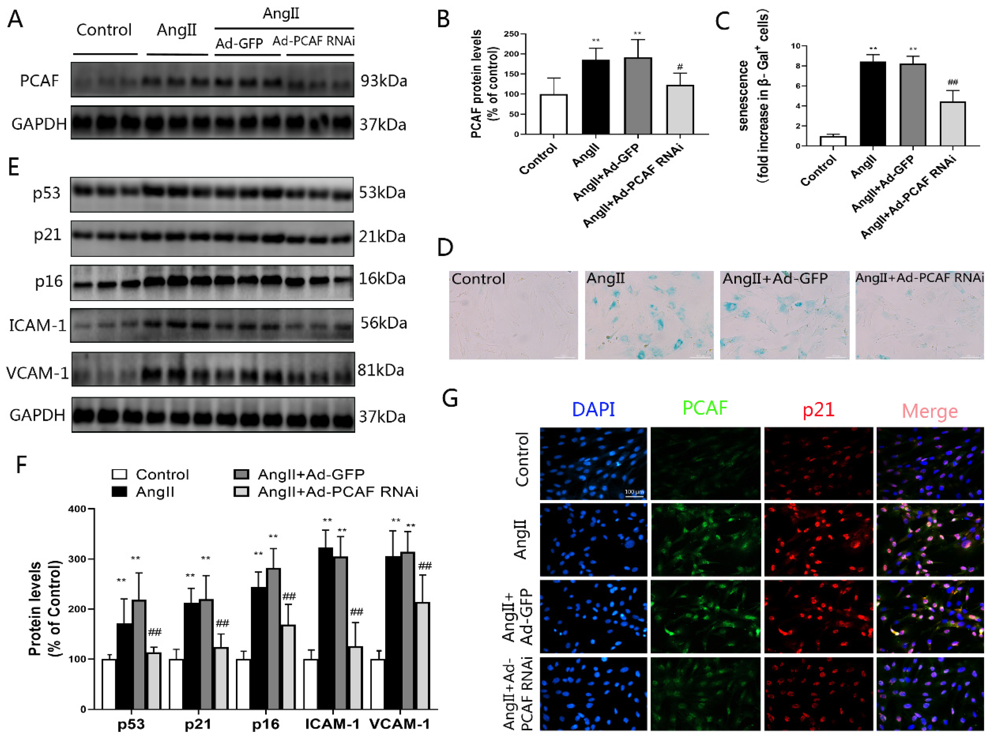 Ijms 23 12574 g002 Ijms 23 12574 g002