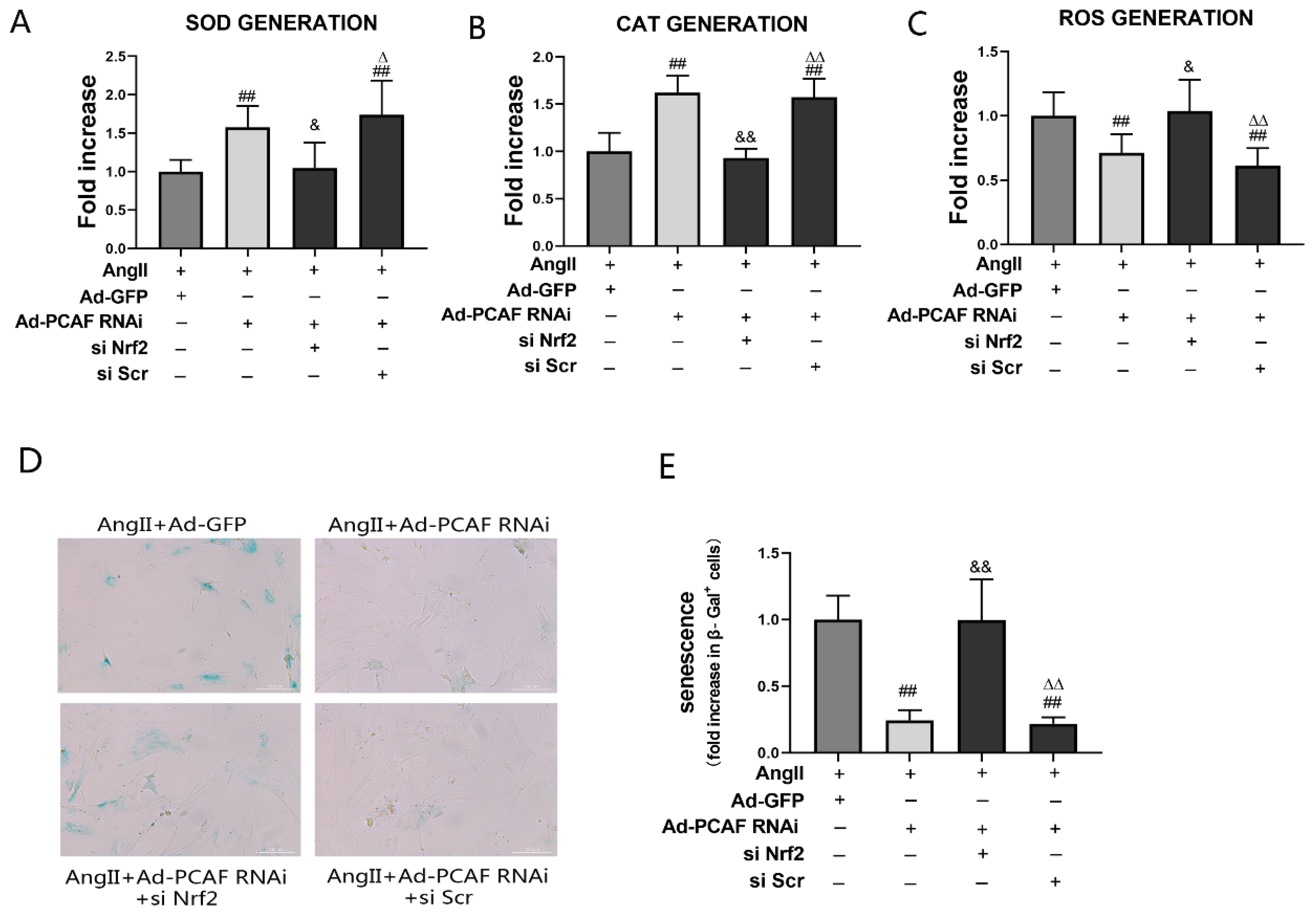 Ijms 23 12574 g006 Ijms 23 12574 g006
