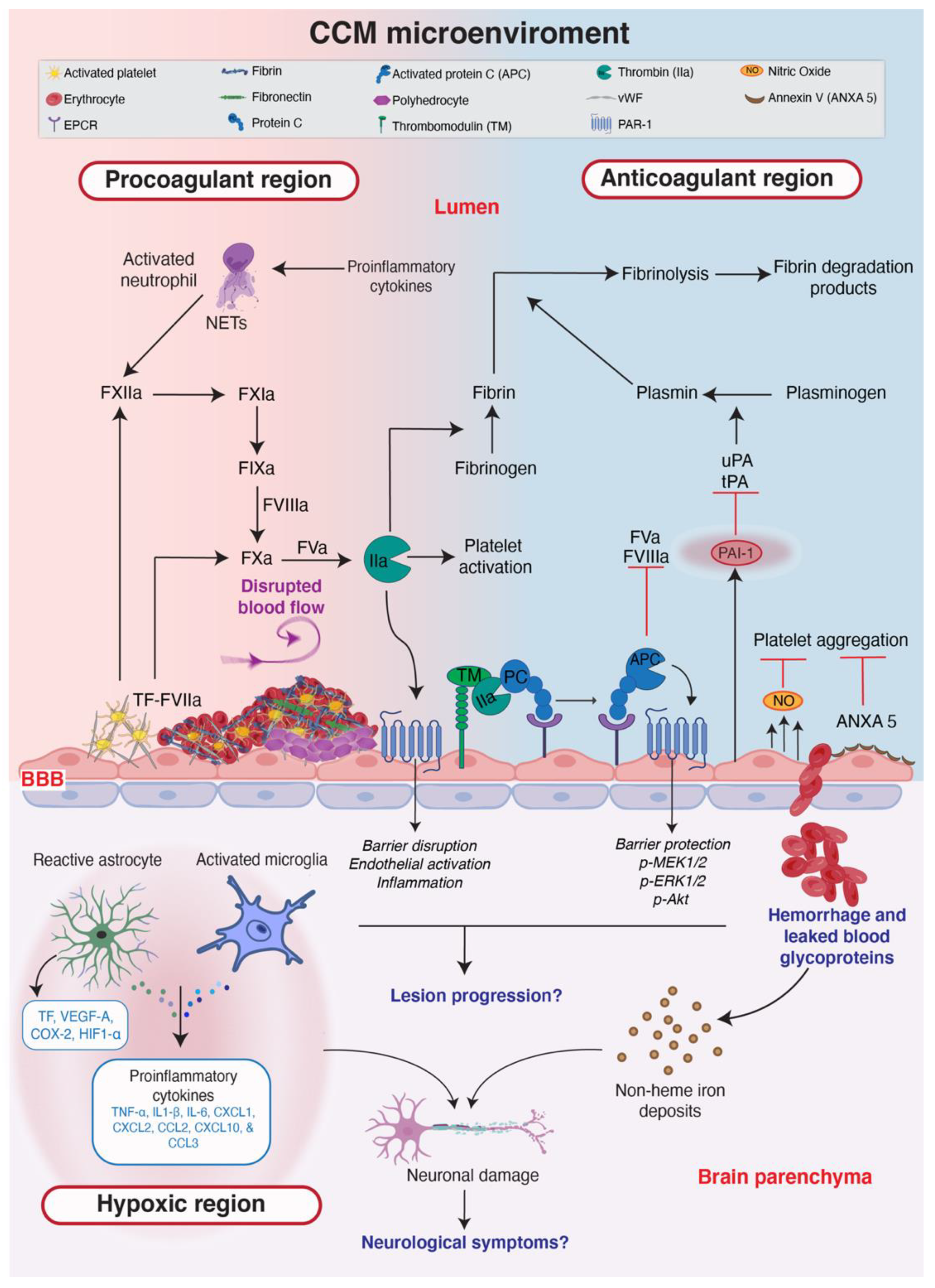 Ijms 23 12575 g002 Ijms 23 12575 g002