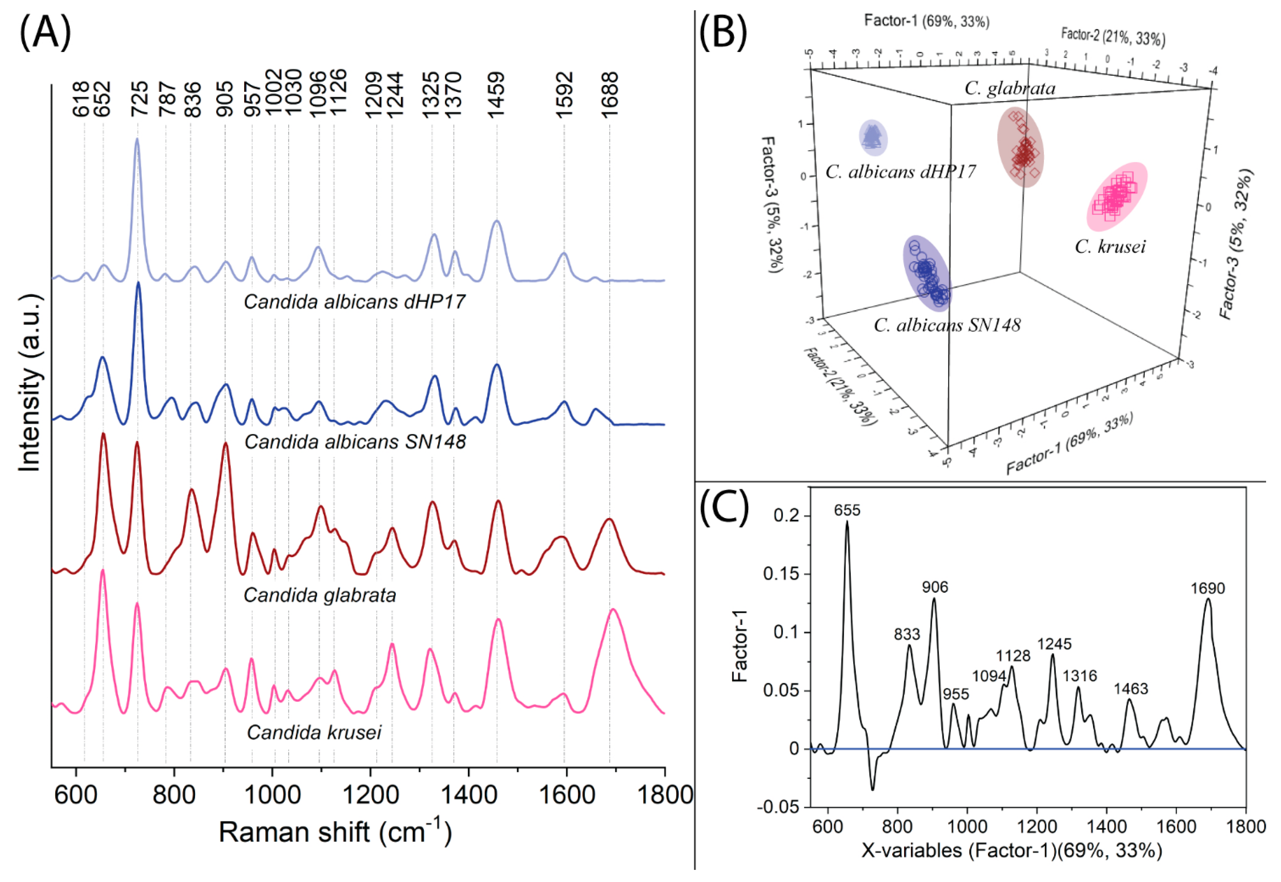 Ijms 23 12576 g002 Ijms 23 12576 g002