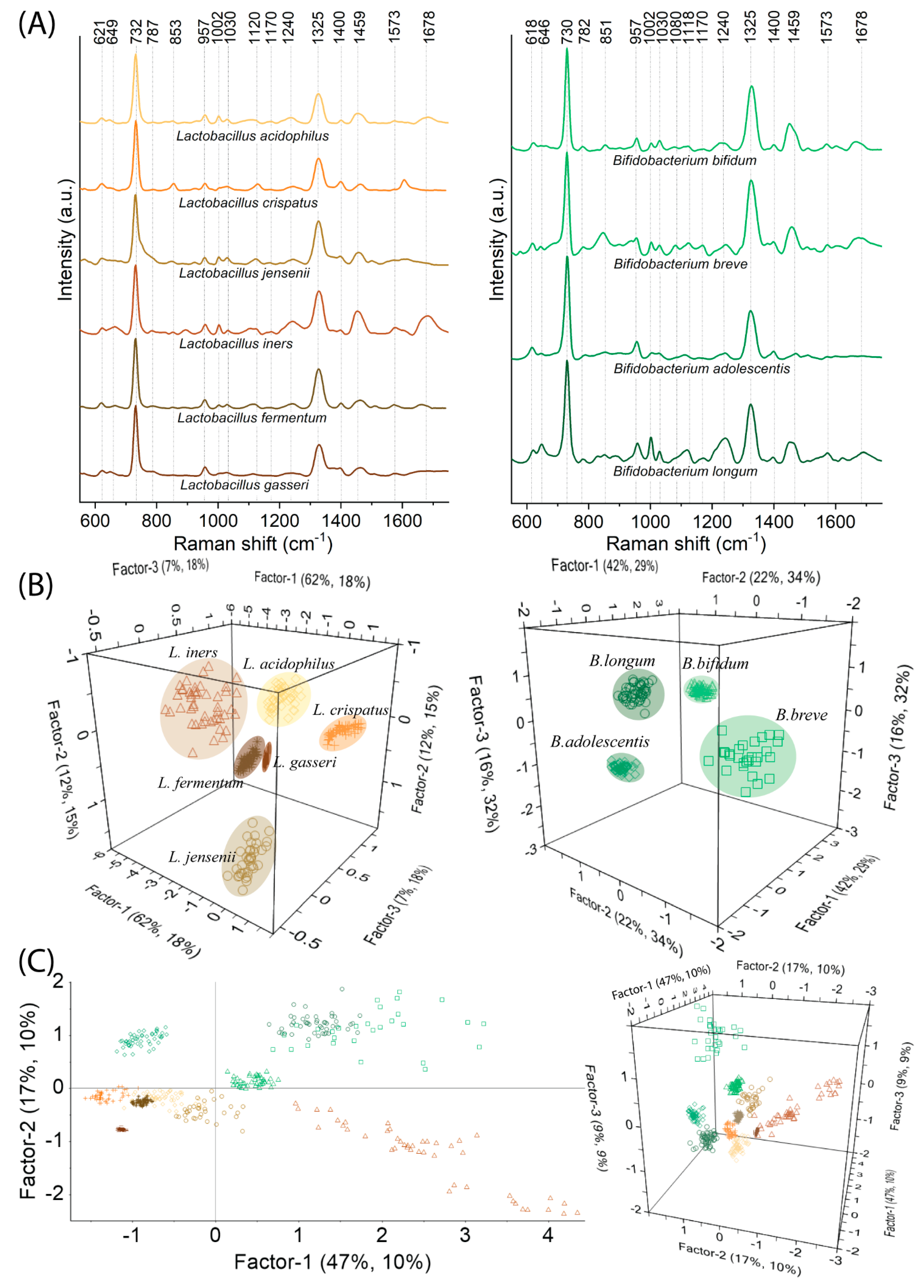 Ijms 23 12576 g003 Ijms 23 12576 g003