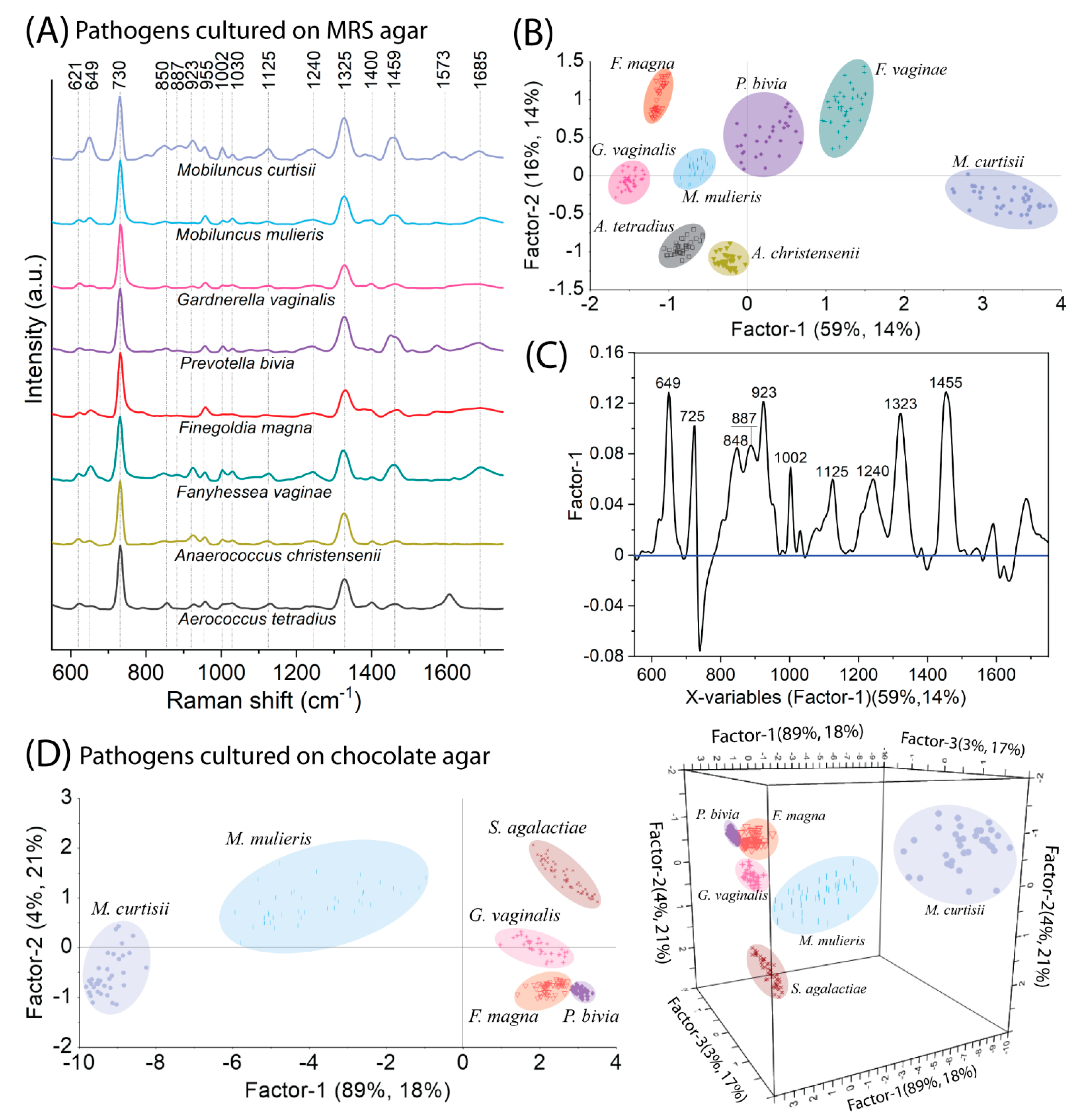 Ijms 23 12576 g004 Ijms 23 12576 g004