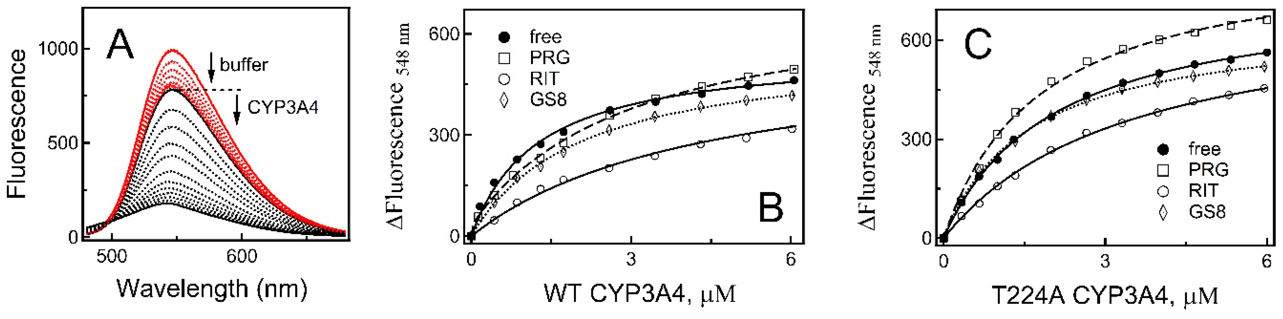 Ijms 23 12591 g004 Ijms 23 12591 g004