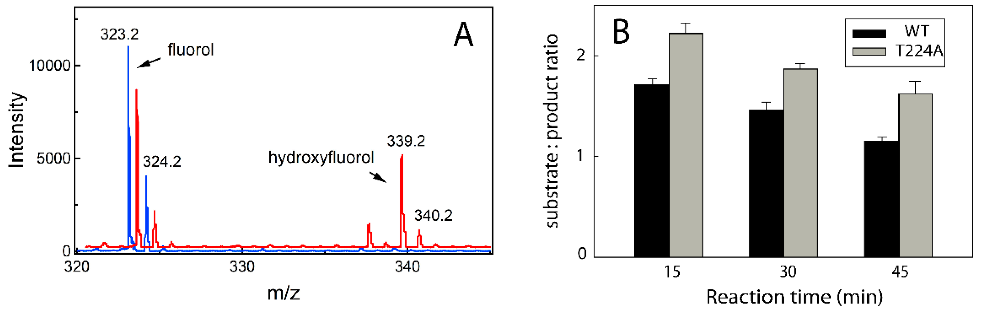 Ijms 23 12591 g006 Ijms 23 12591 g006