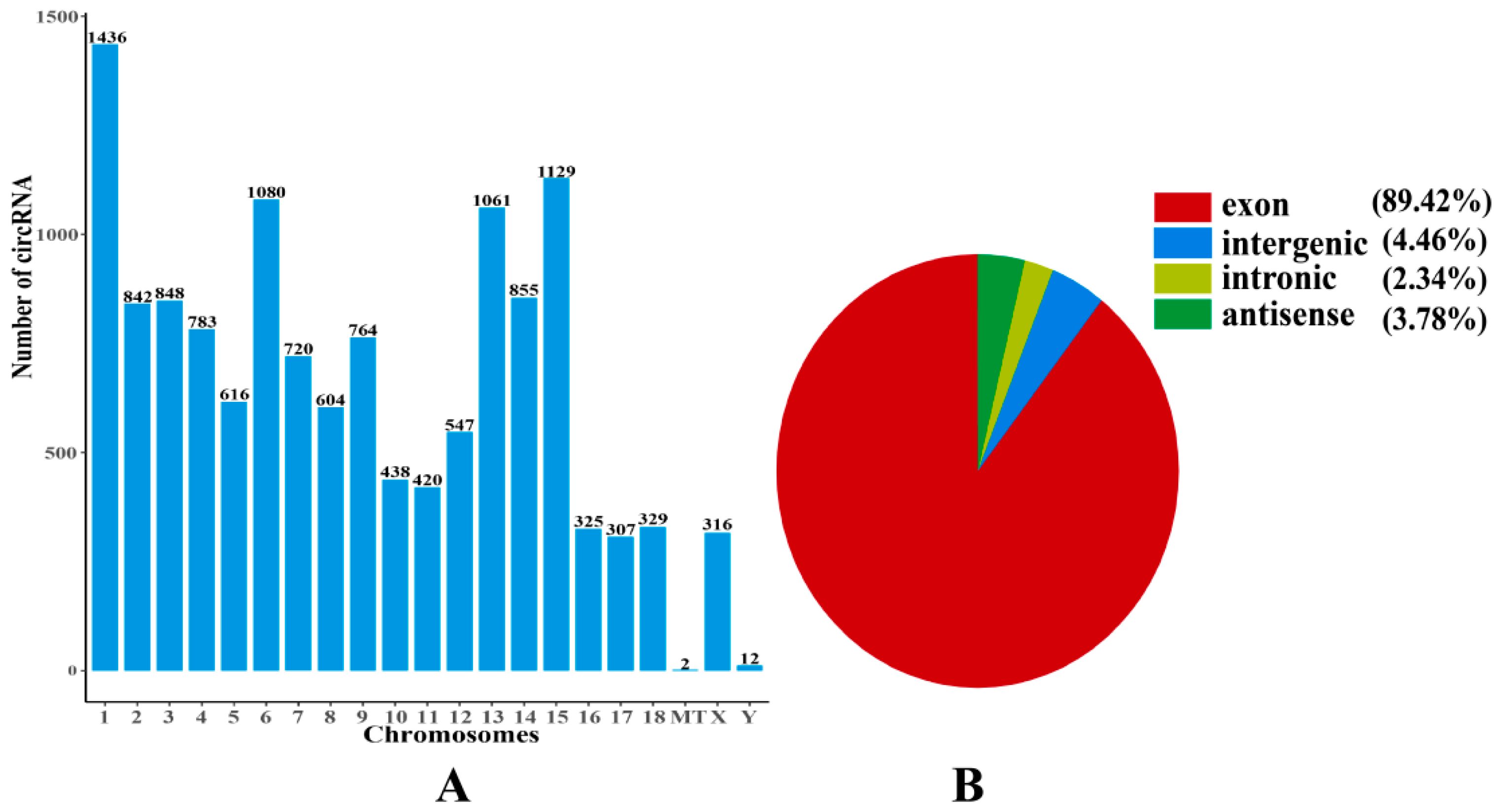 Ijms 23 12596 g006 Ijms 23 12596 g006