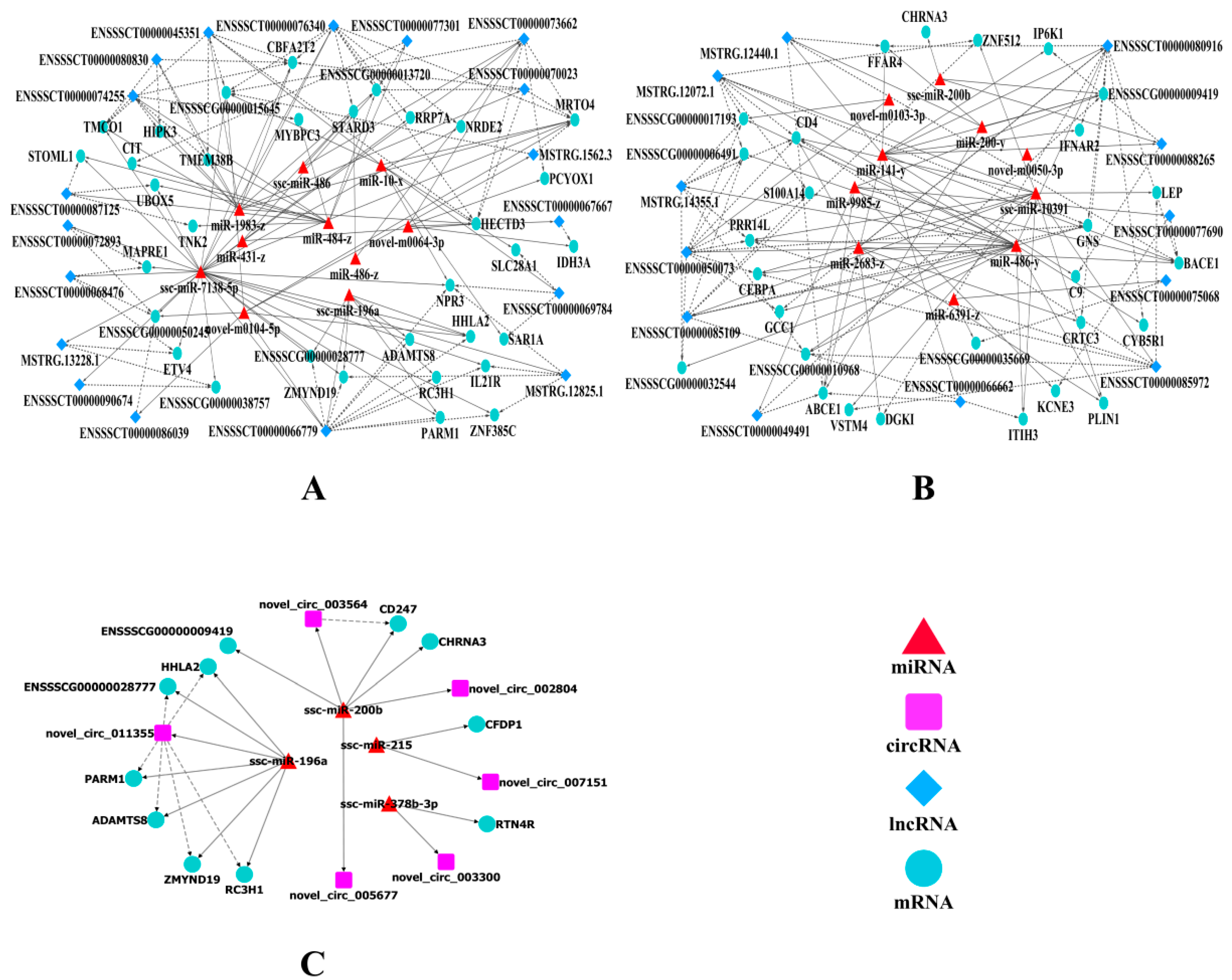 Ijms 23 12596 g007 Ijms 23 12596 g007
