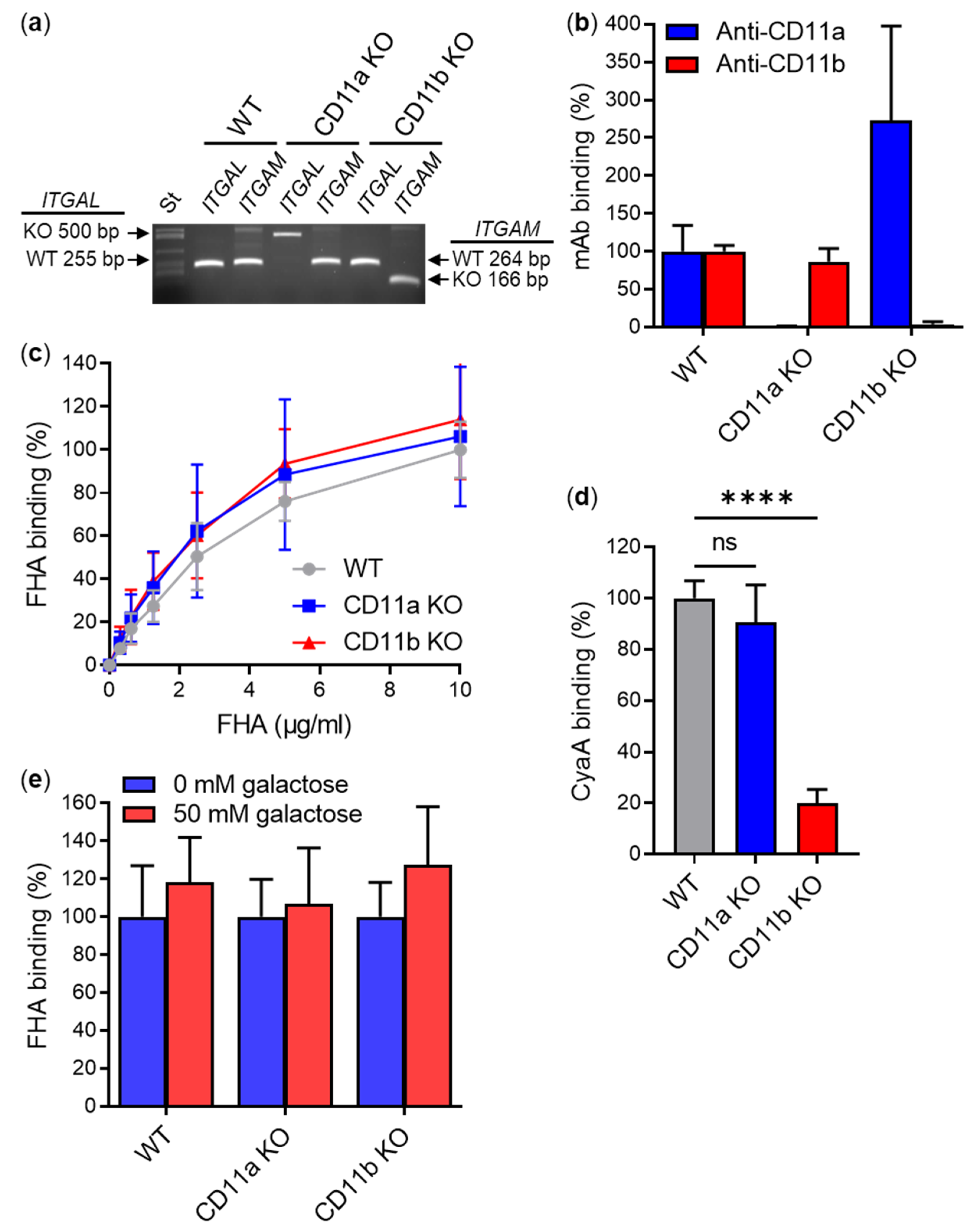 Ijms 23 12598 g002 Ijms 23 12598 g002