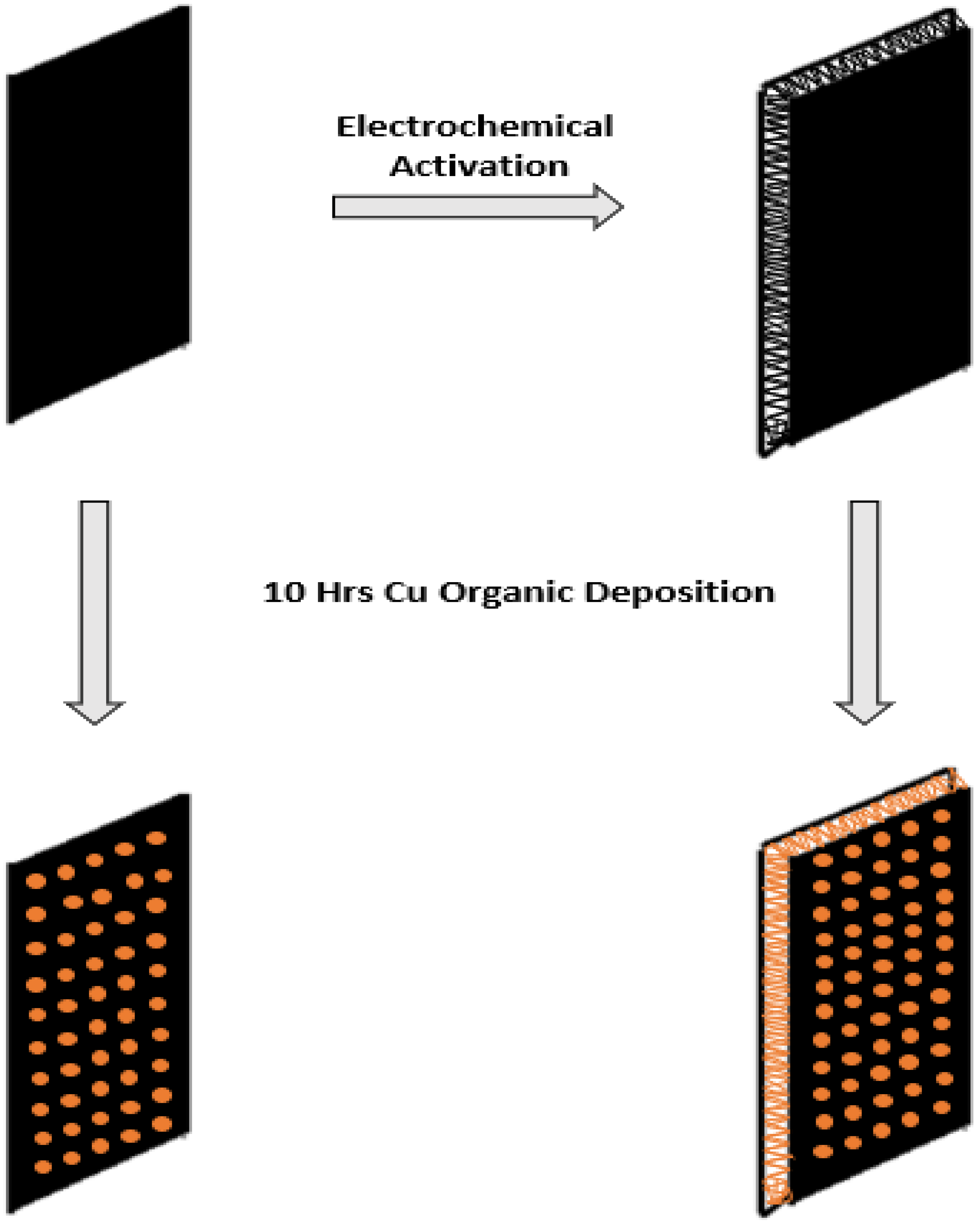 Ijms 23 12602 g001 Ijms 23 12602 g001