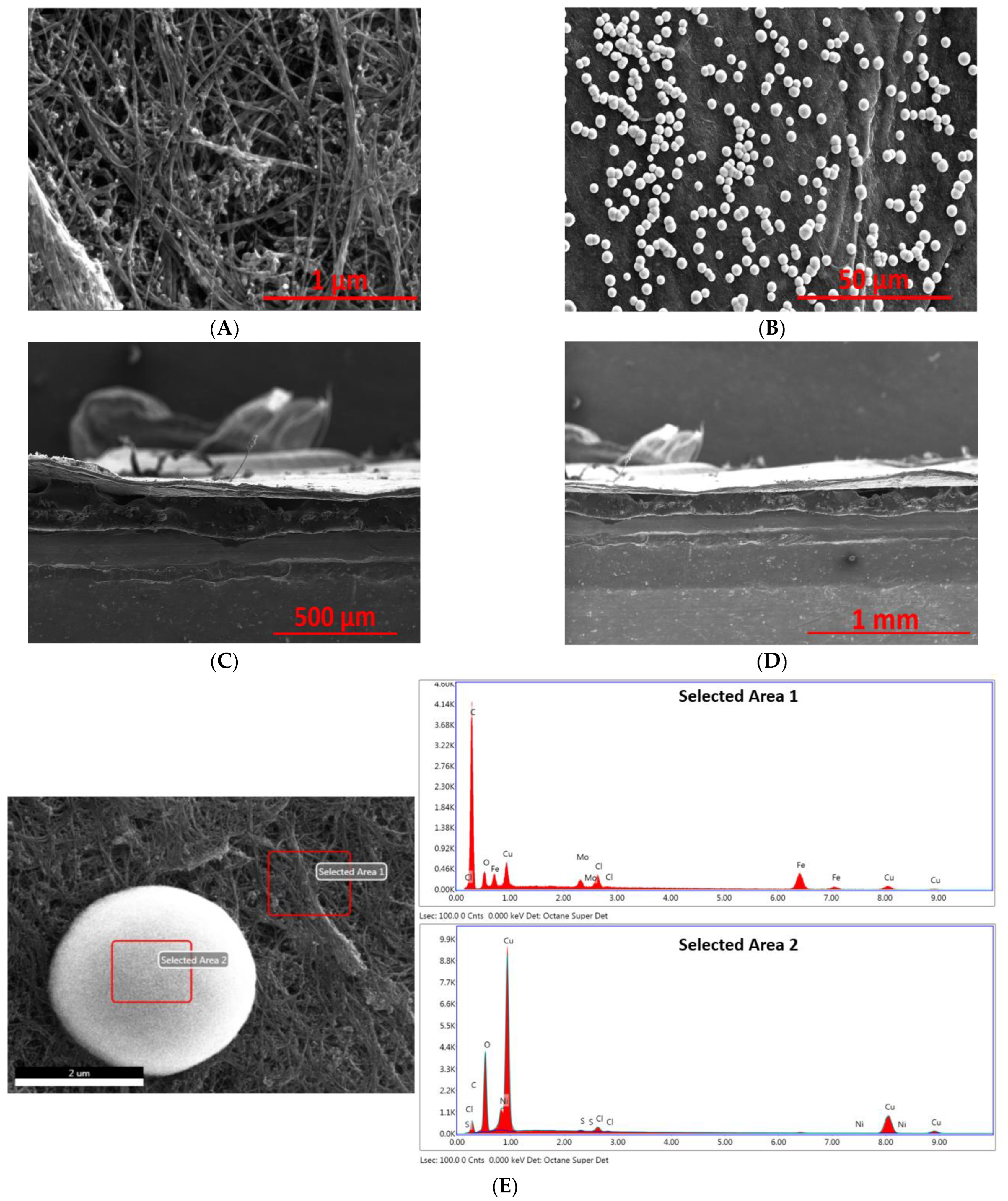 Ijms 23 12602 g003 Ijms 23 12602 g003