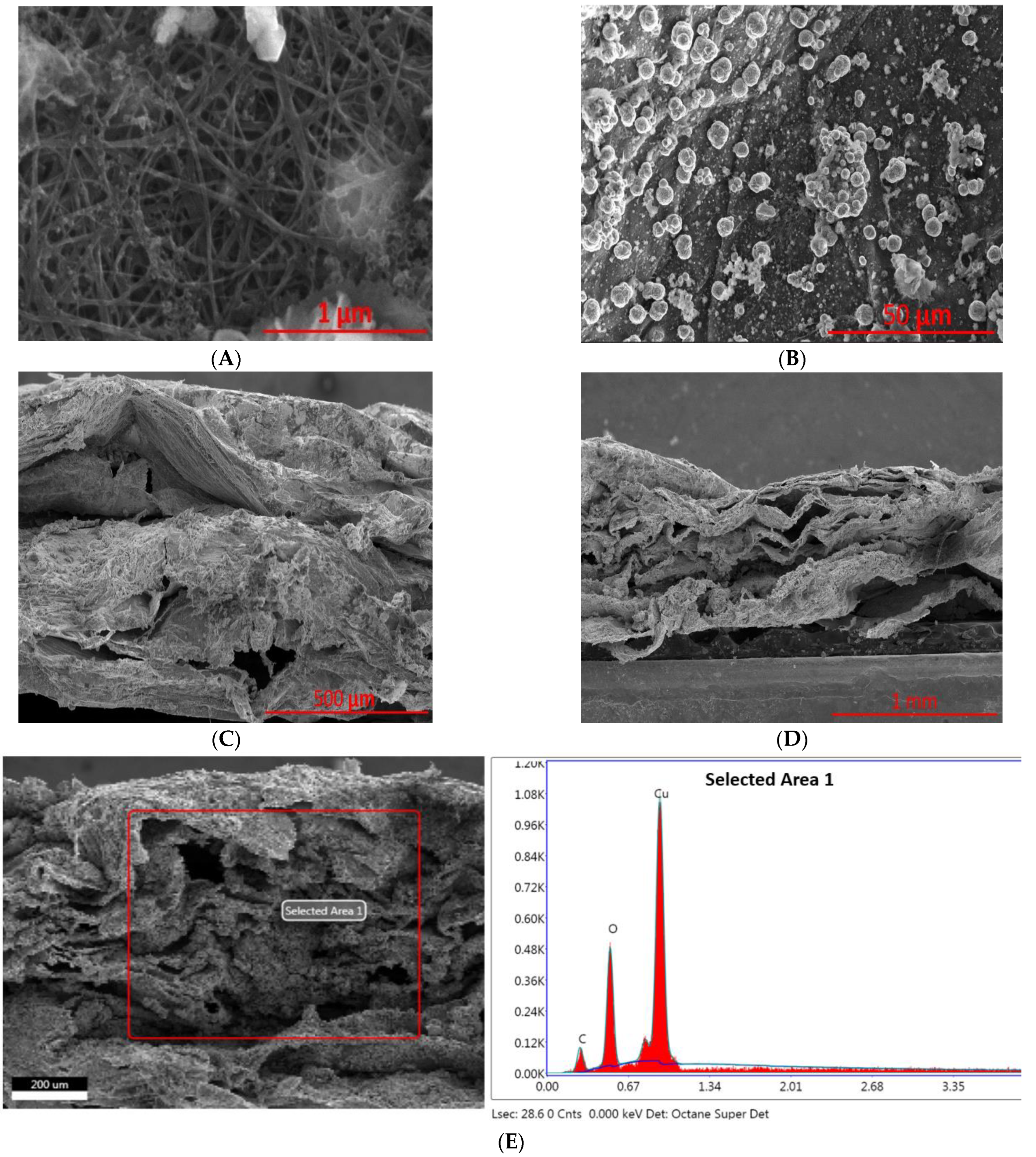 Ijms 23 12602 g004 Ijms 23 12602 g004