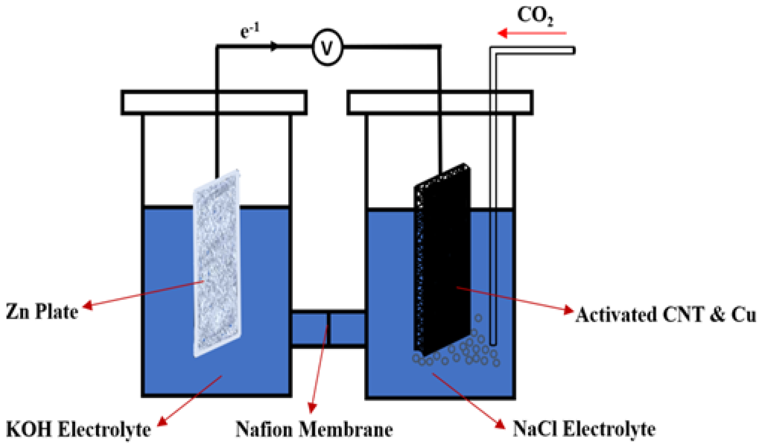 Ijms 23 12602 g006 Ijms 23 12602 g006
