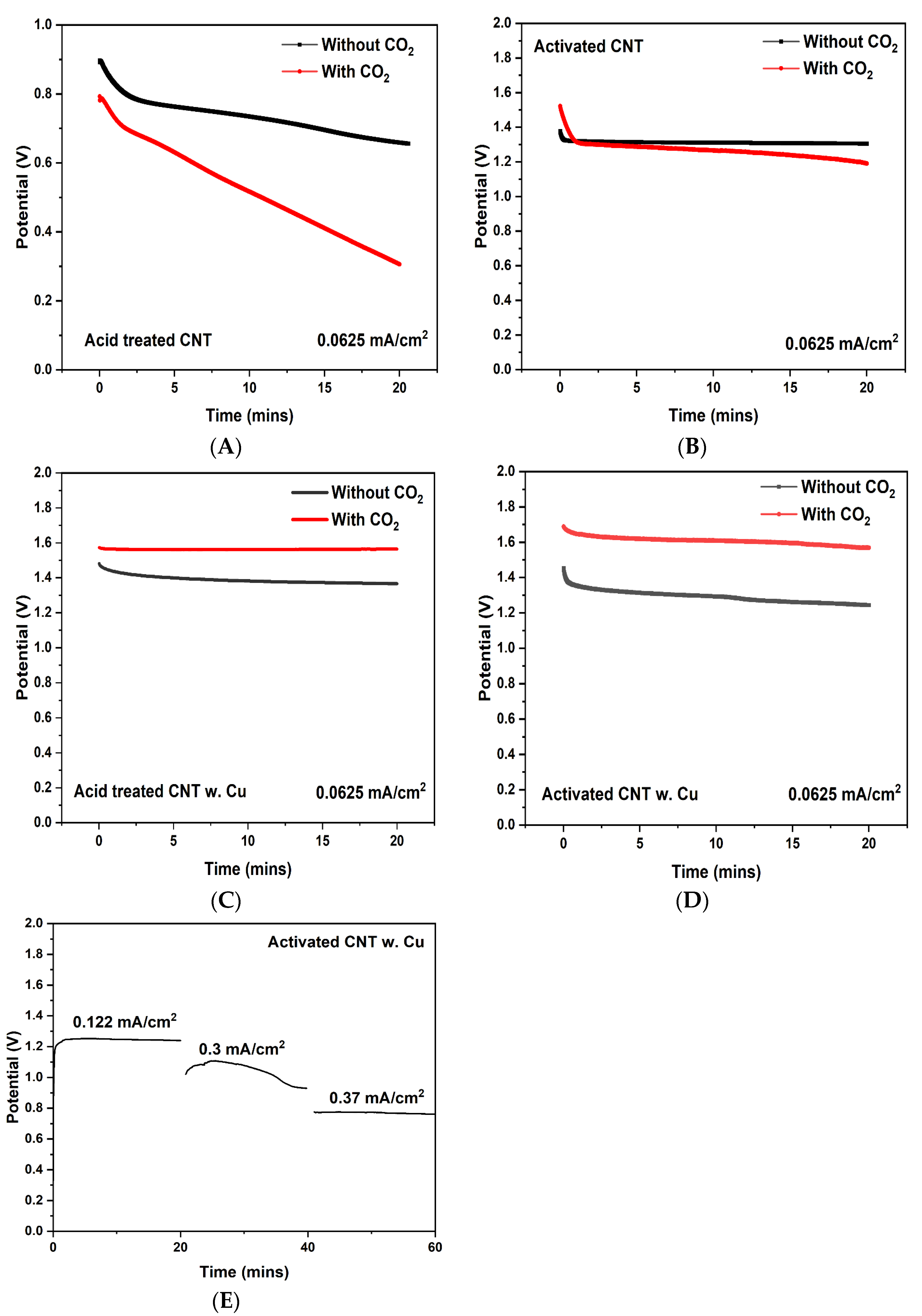 Ijms 23 12602 g007 Ijms 23 12602 g007