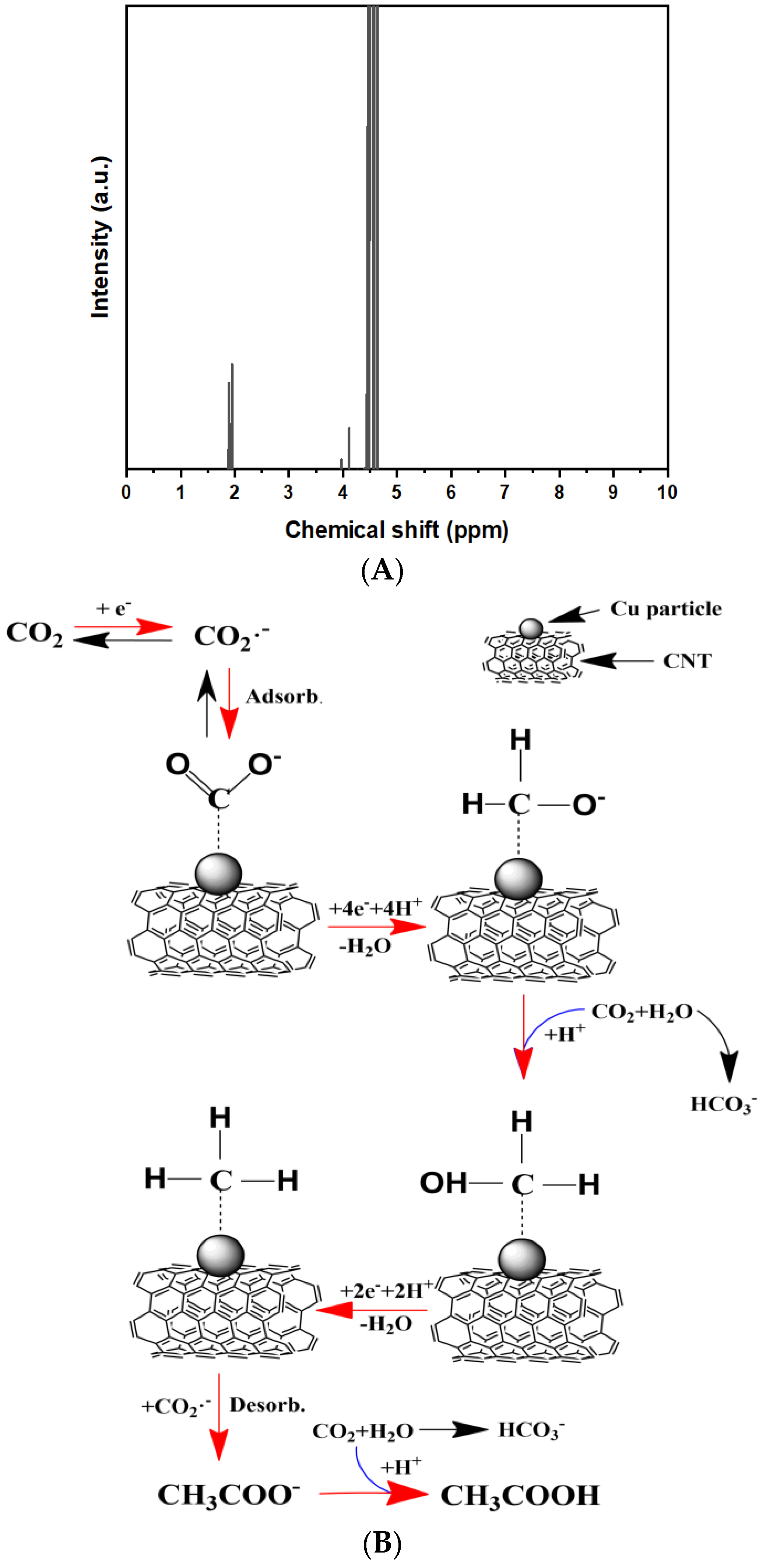 Ijms 23 12602 g008 Ijms 23 12602 g008