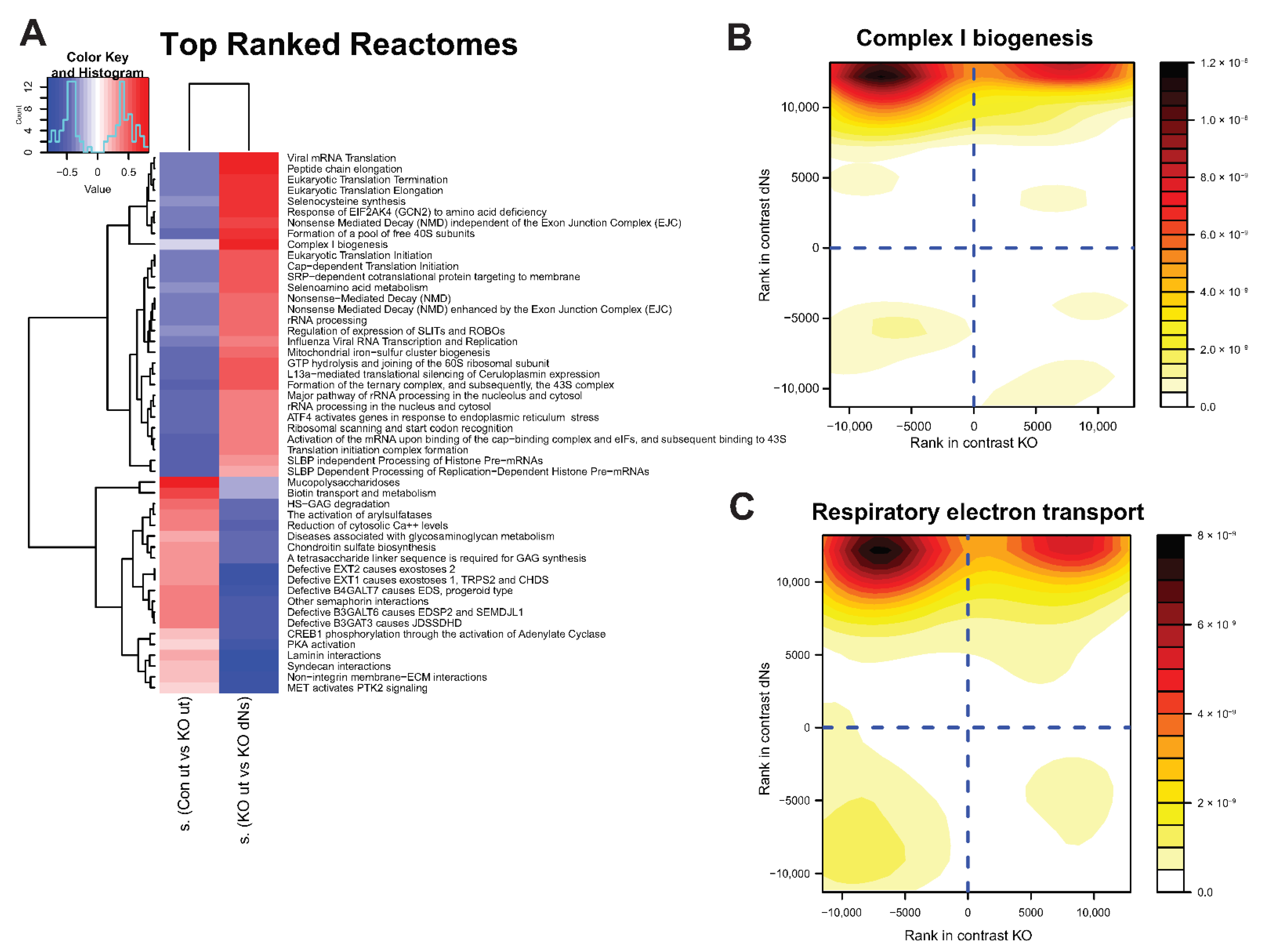 Ijms 23 12610 g003 Ijms 23 12610 g003