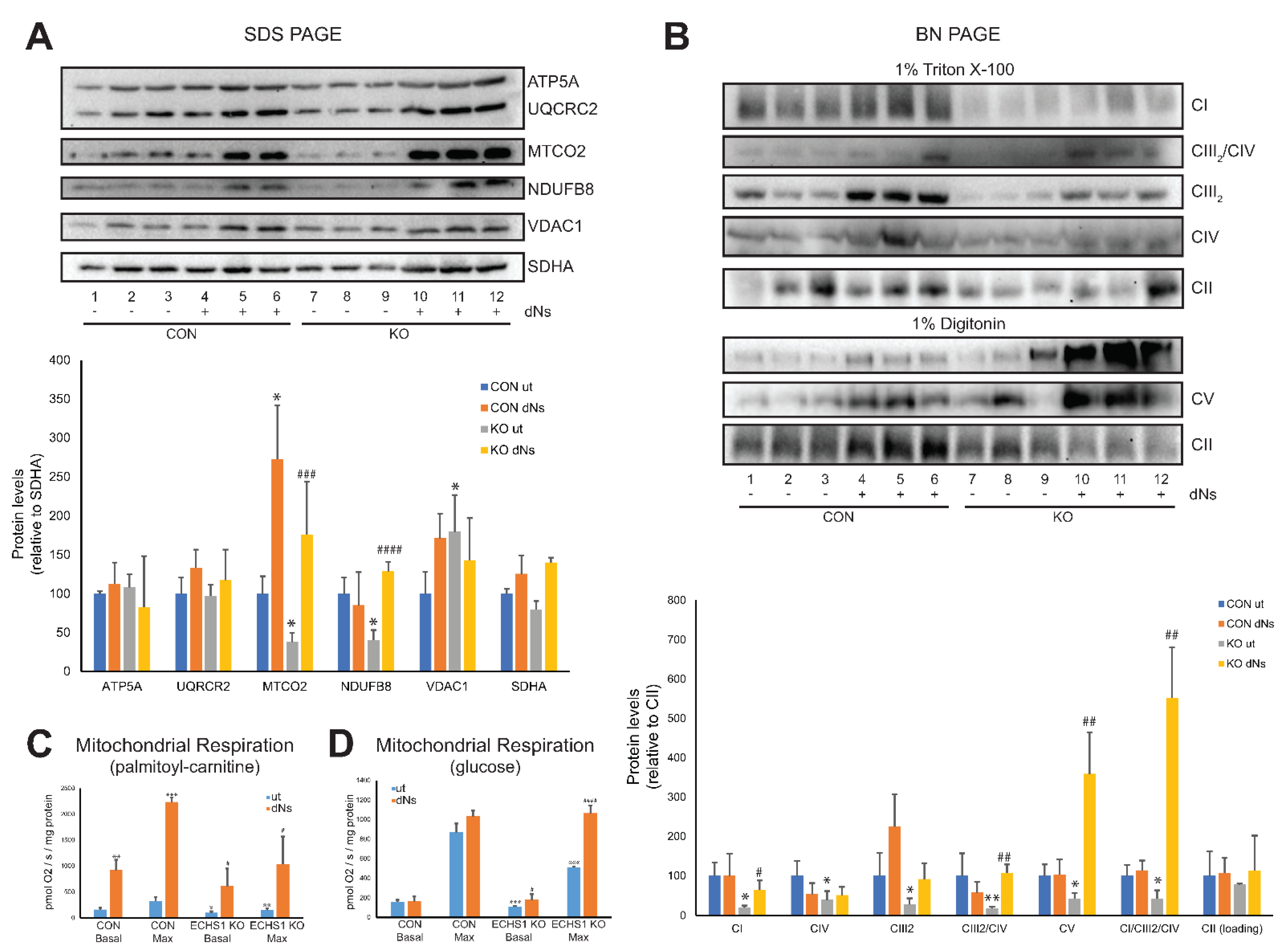 Ijms 23 12610 g004 Ijms 23 12610 g004