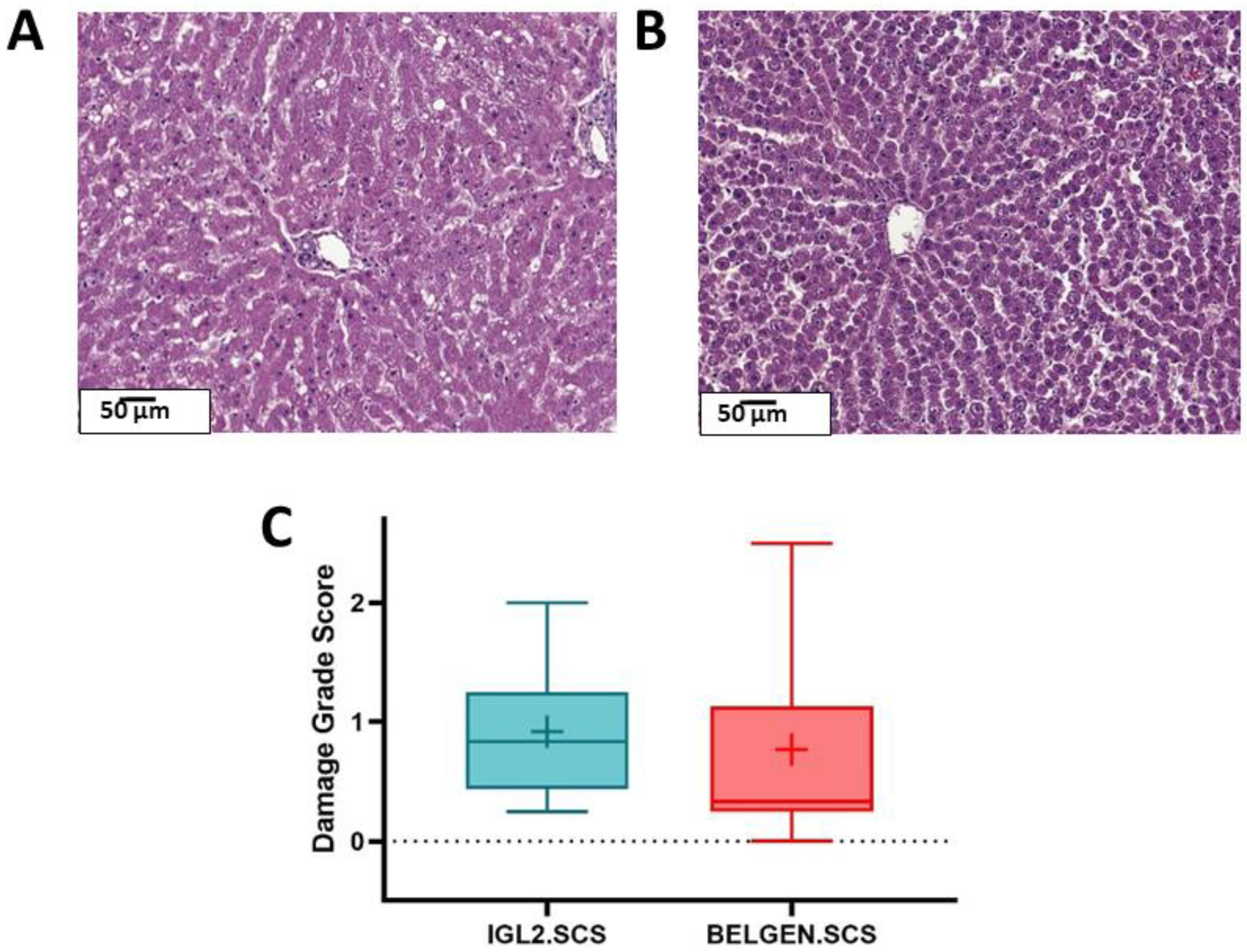 Ijms 23 12615 g001 Ijms 23 12615 g001