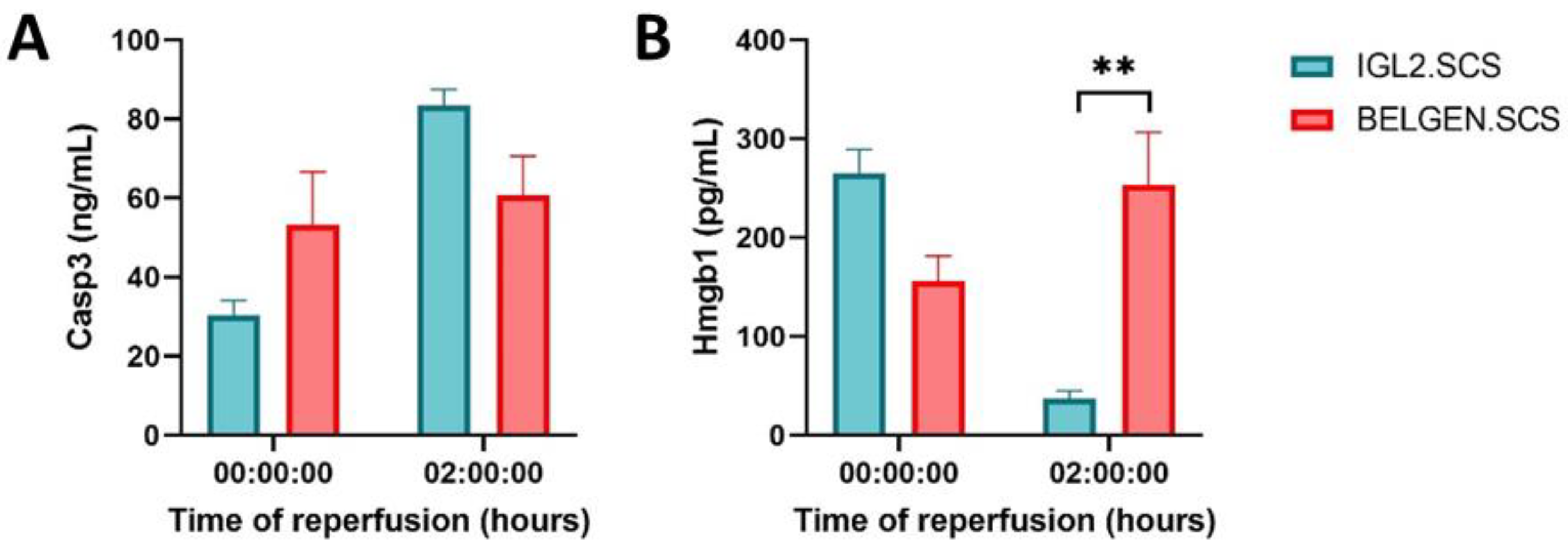 Ijms 23 12615 g004 Ijms 23 12615 g004