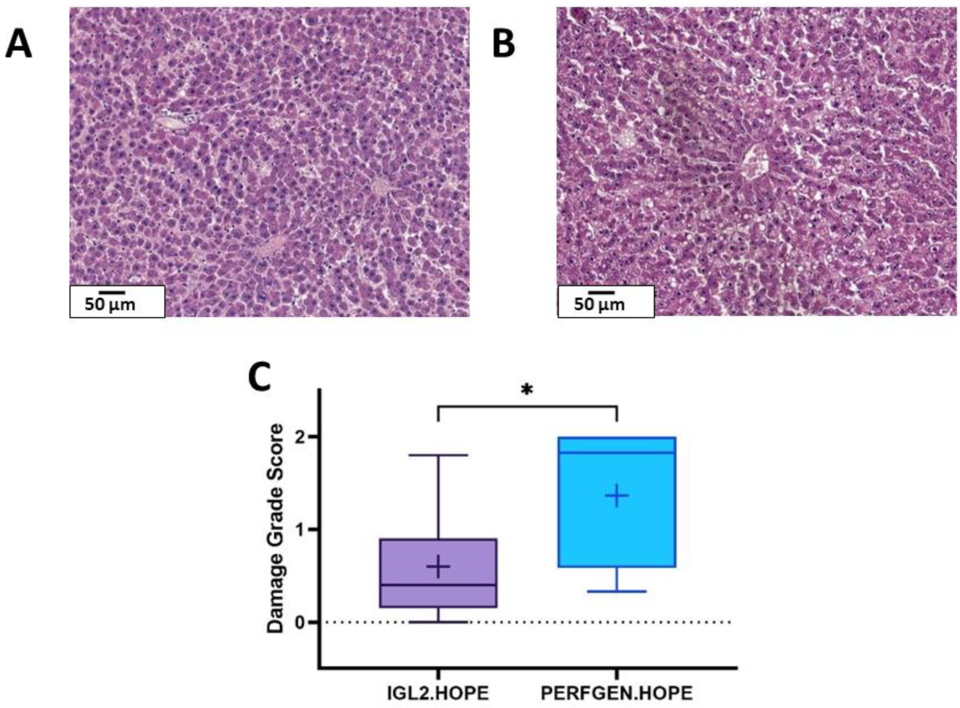 Ijms 23 12615 g005 Ijms 23 12615 g005