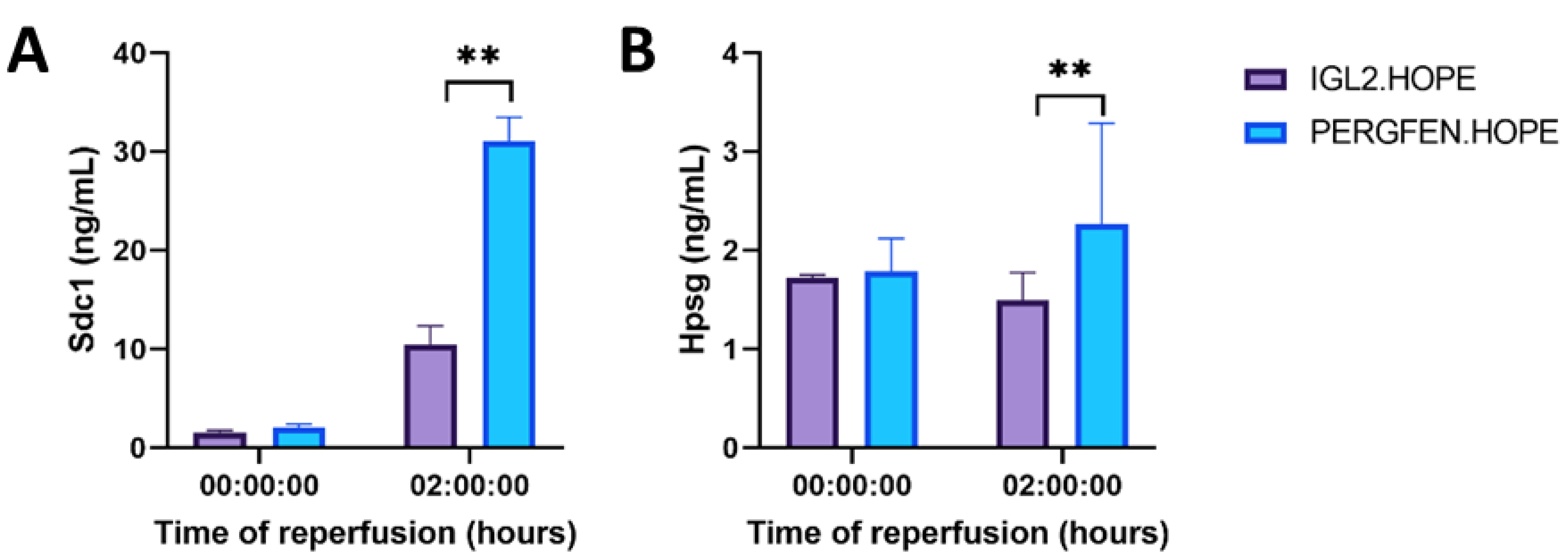 Ijms 23 12615 g007 Ijms 23 12615 g007