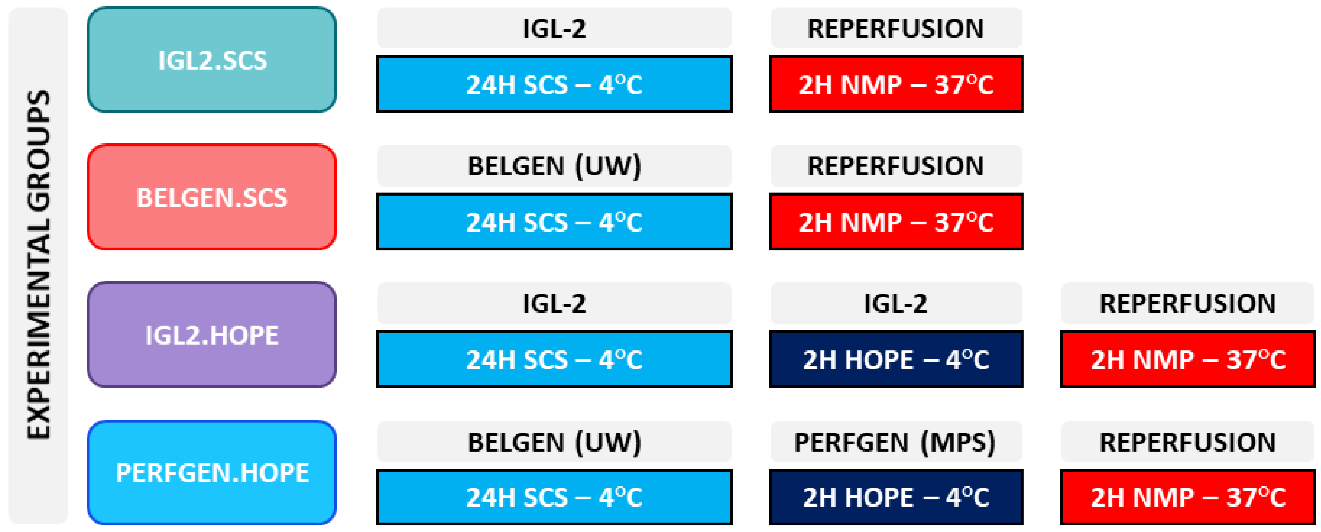 Ijms 23 12615 sch001 Ijms 23 12615 sch001