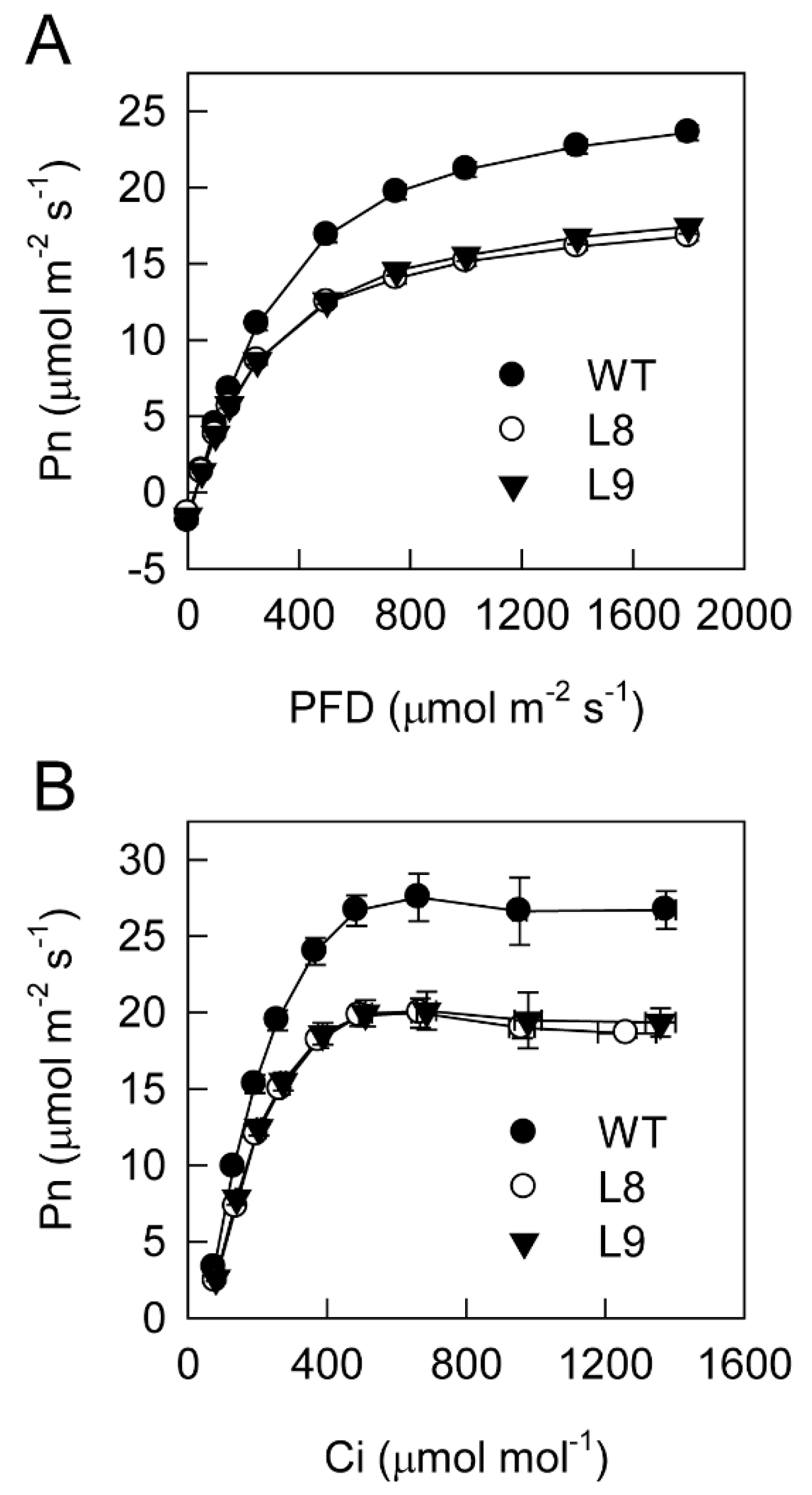 Ijms 23 12616 g002 Ijms 23 12616 g002