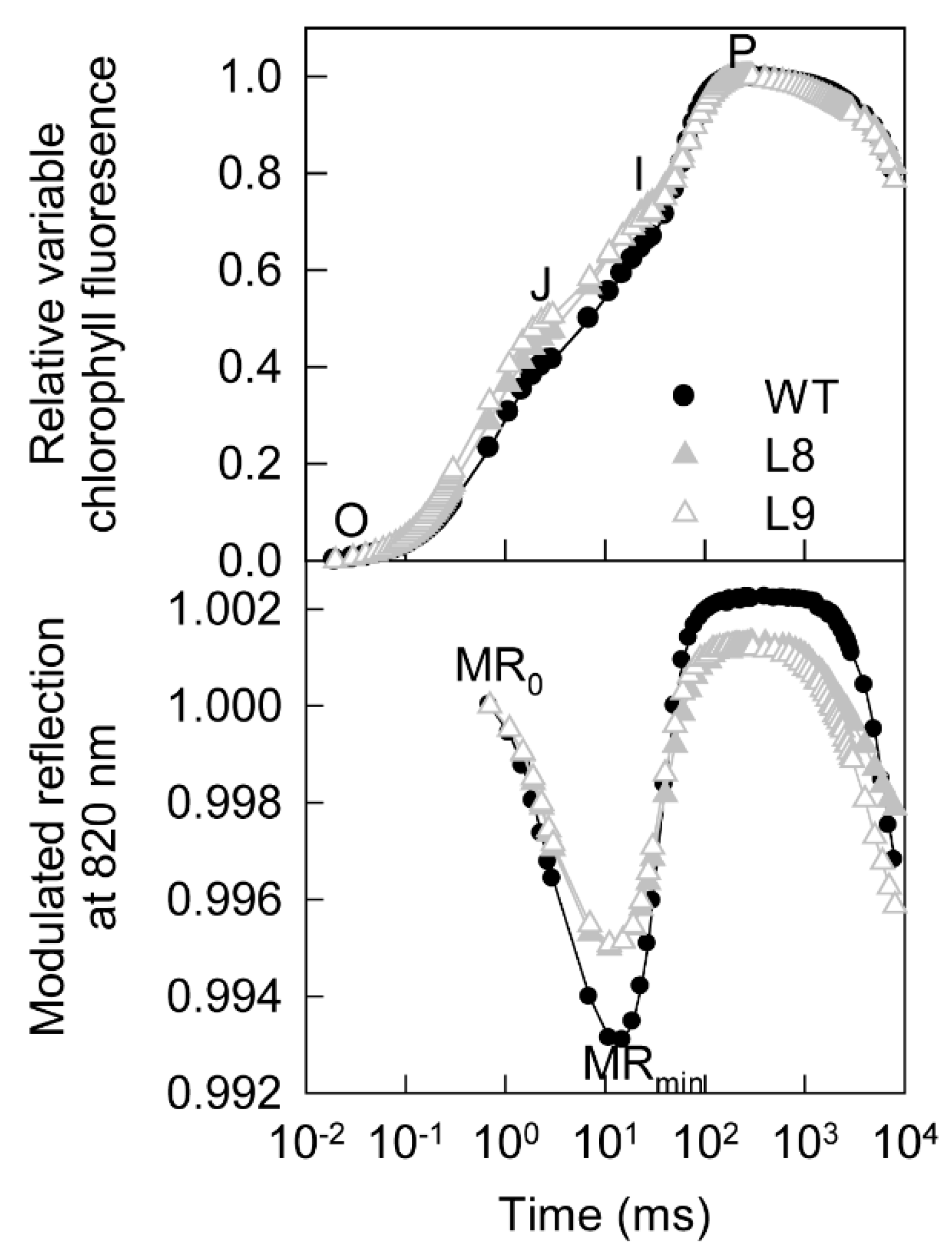 Ijms 23 12616 g004 Ijms 23 12616 g004