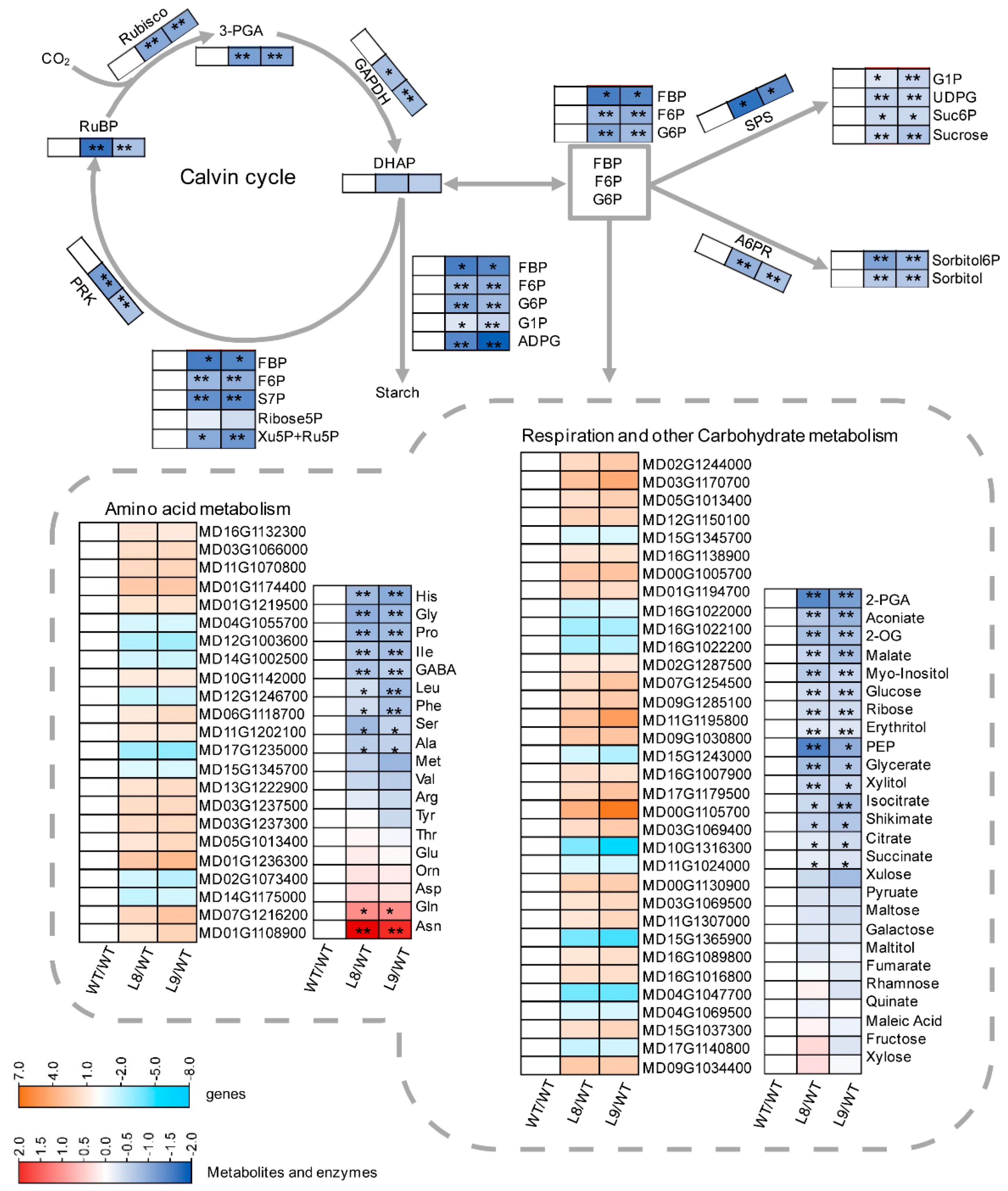 Ijms 23 12616 g005 Ijms 23 12616 g005