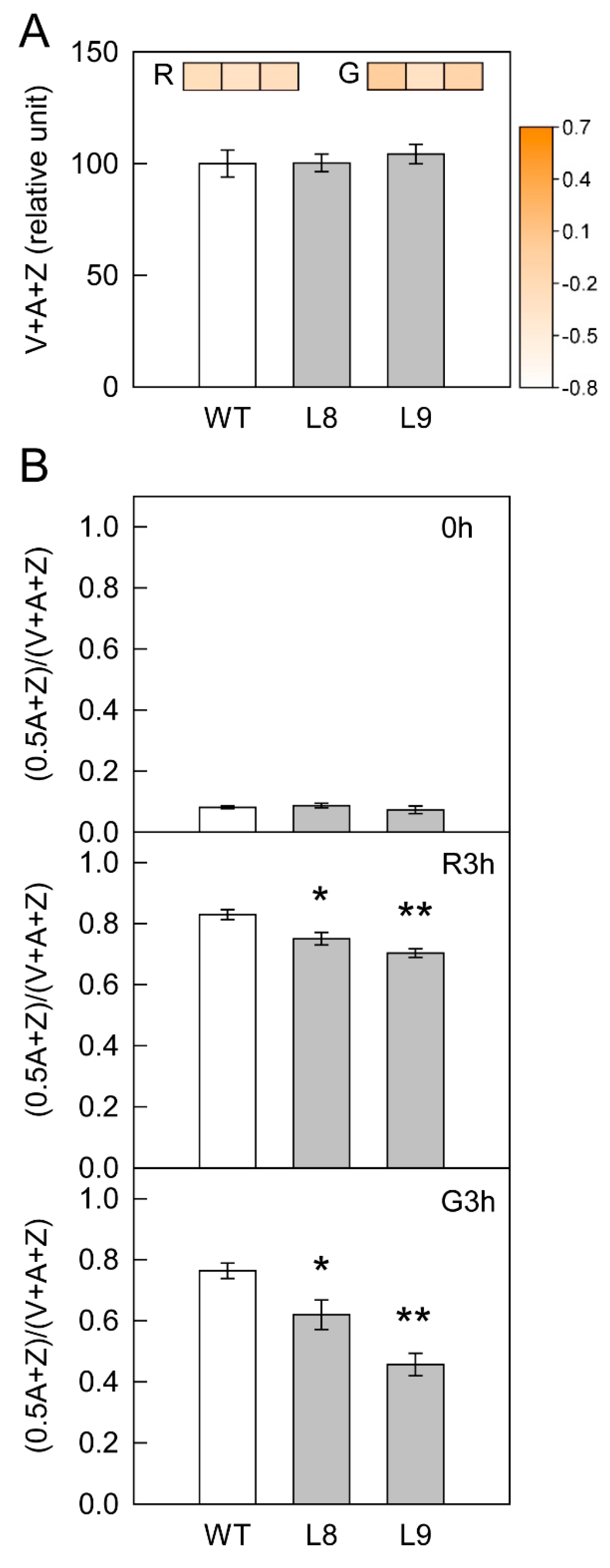 Ijms 23 12616 g006 Ijms 23 12616 g006
