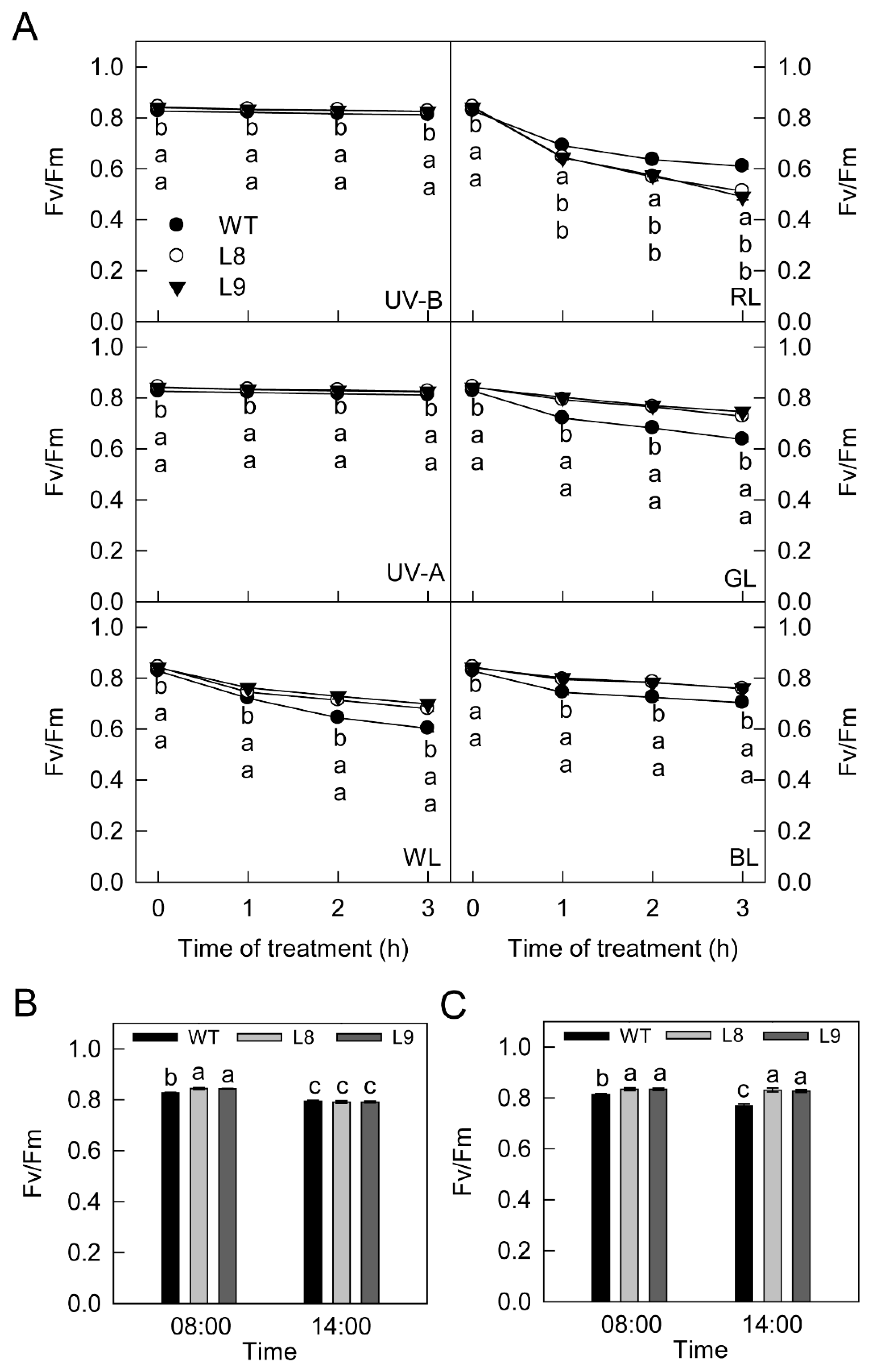 Ijms 23 12616 g008 Ijms 23 12616 g008