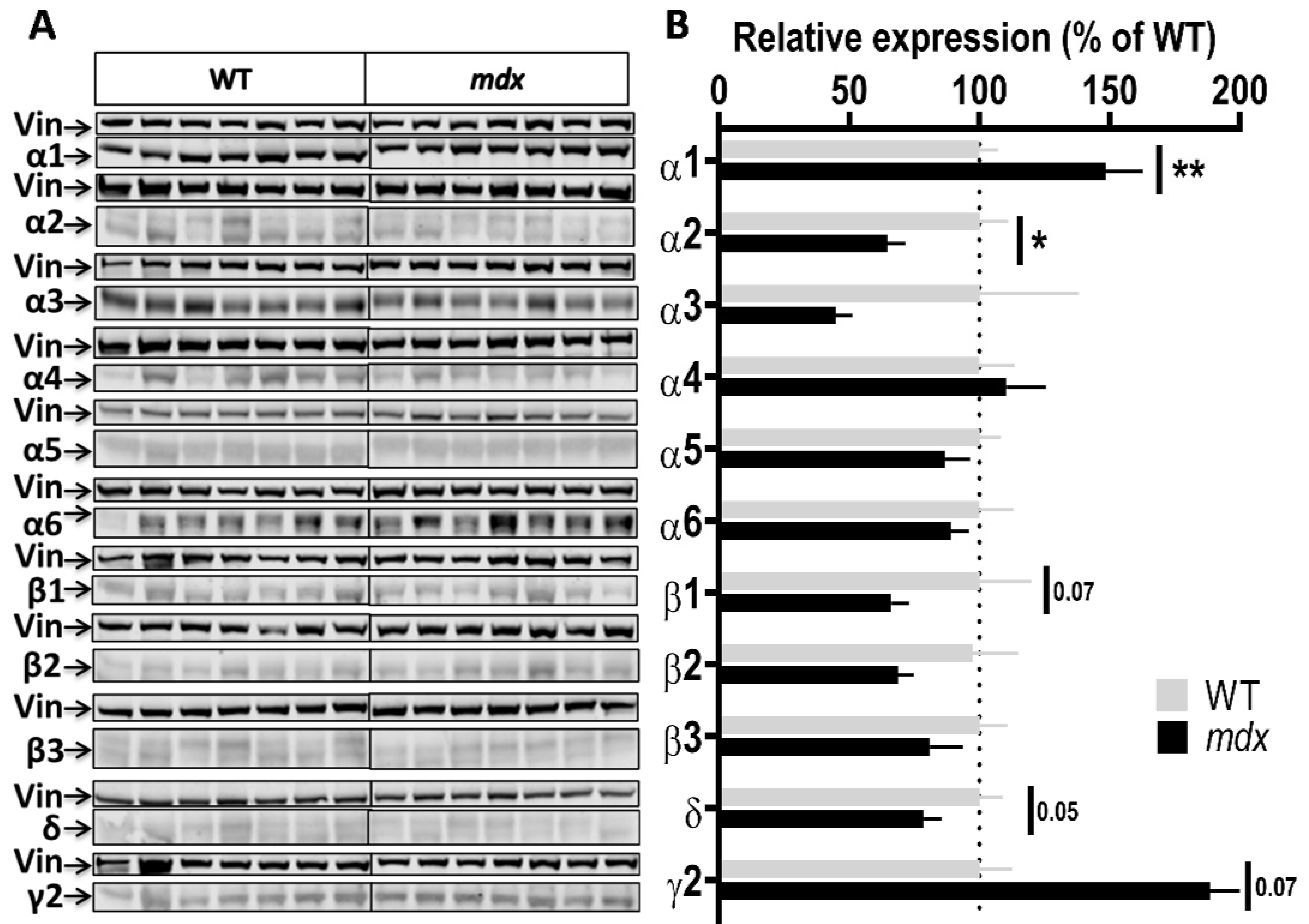 Ijms 23 12617 g003 Ijms 23 12617 g003