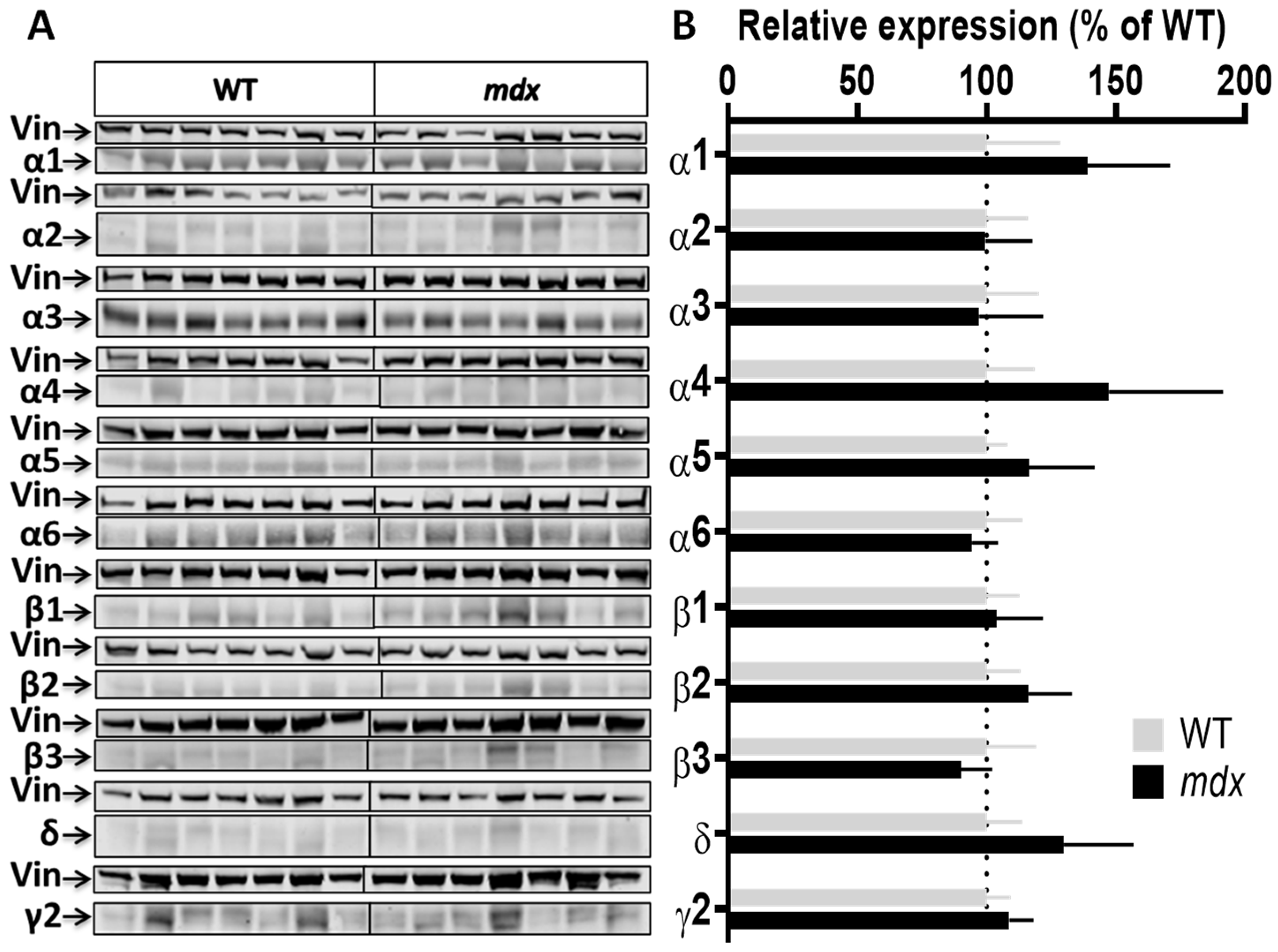 Ijms 23 12617 g004 Ijms 23 12617 g004