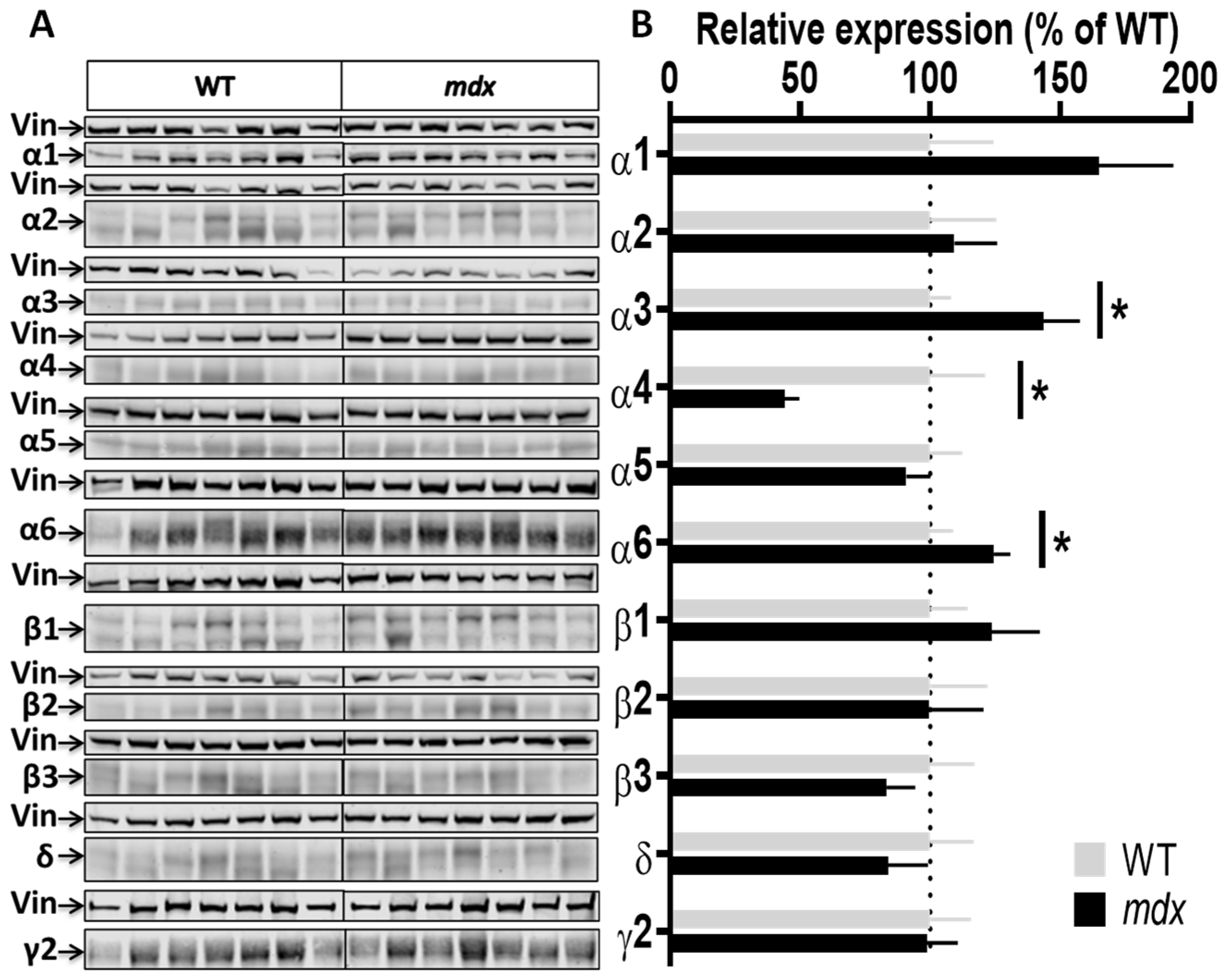 Ijms 23 12617 g005 Ijms 23 12617 g005