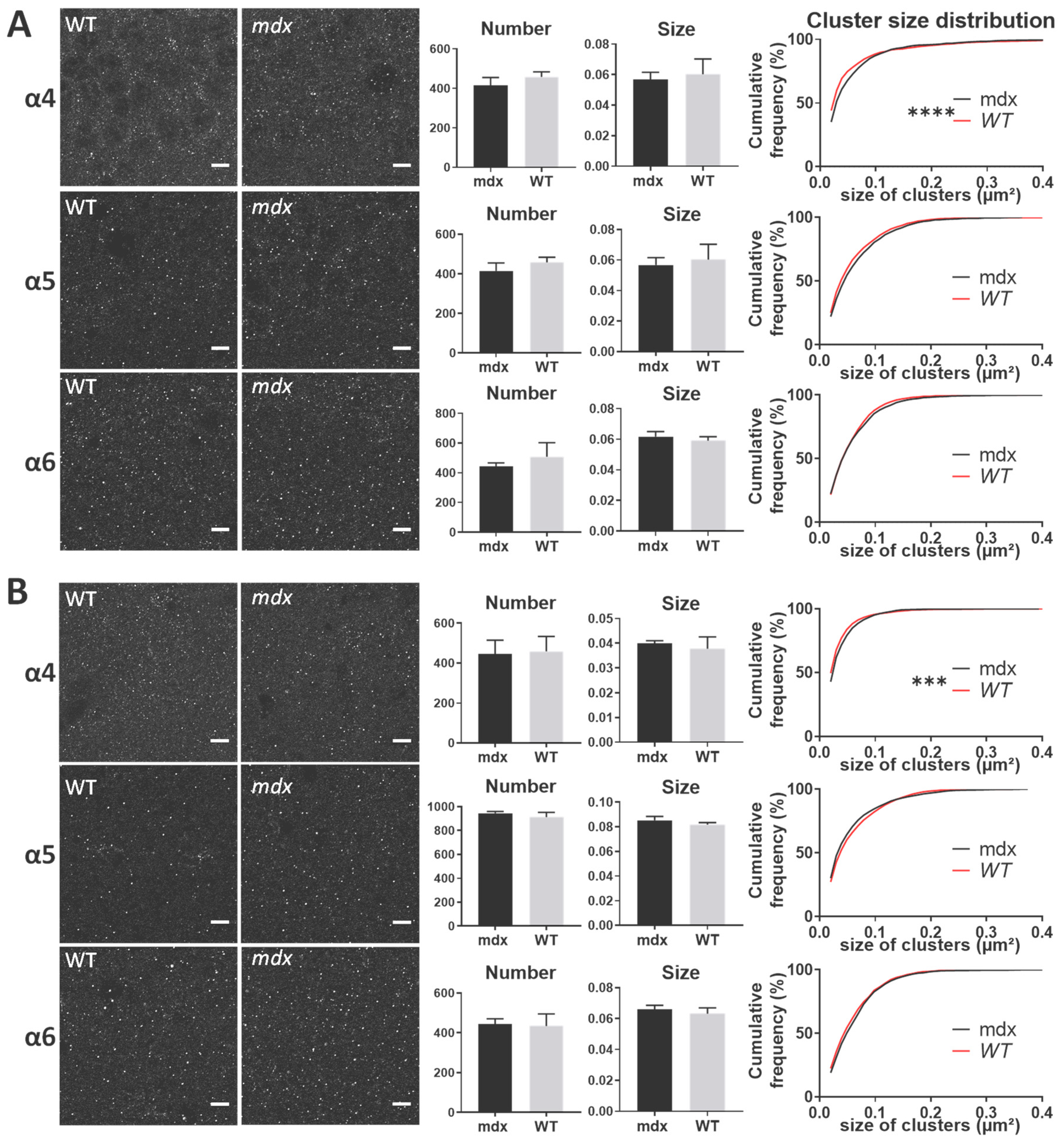 Ijms 23 12617 g007 Ijms 23 12617 g007