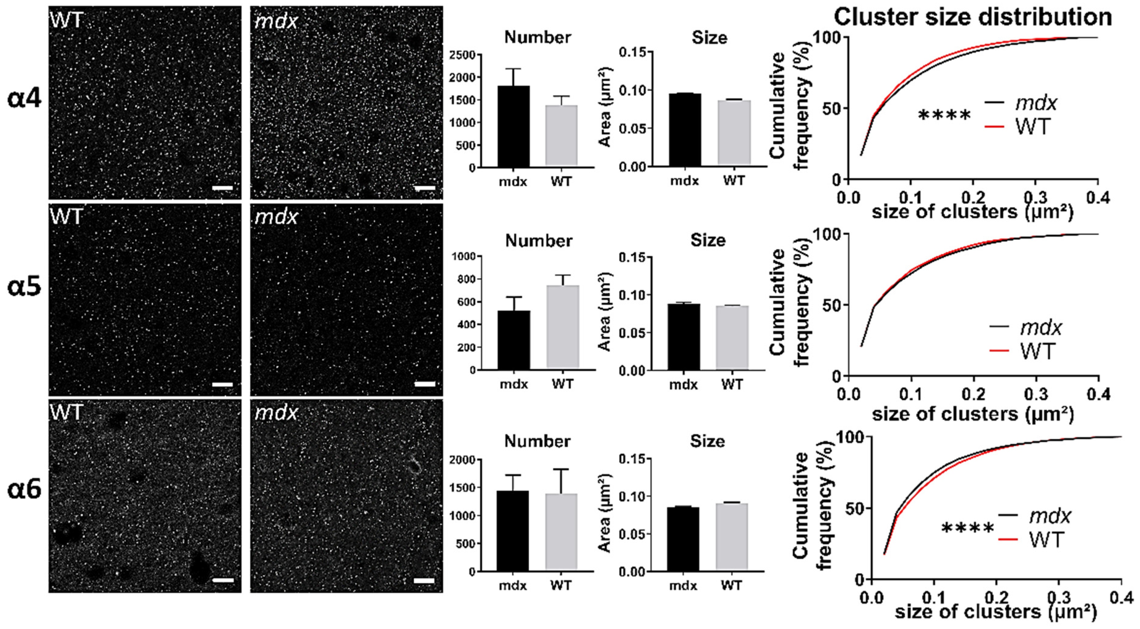 Ijms 23 12617 g008 Ijms 23 12617 g008