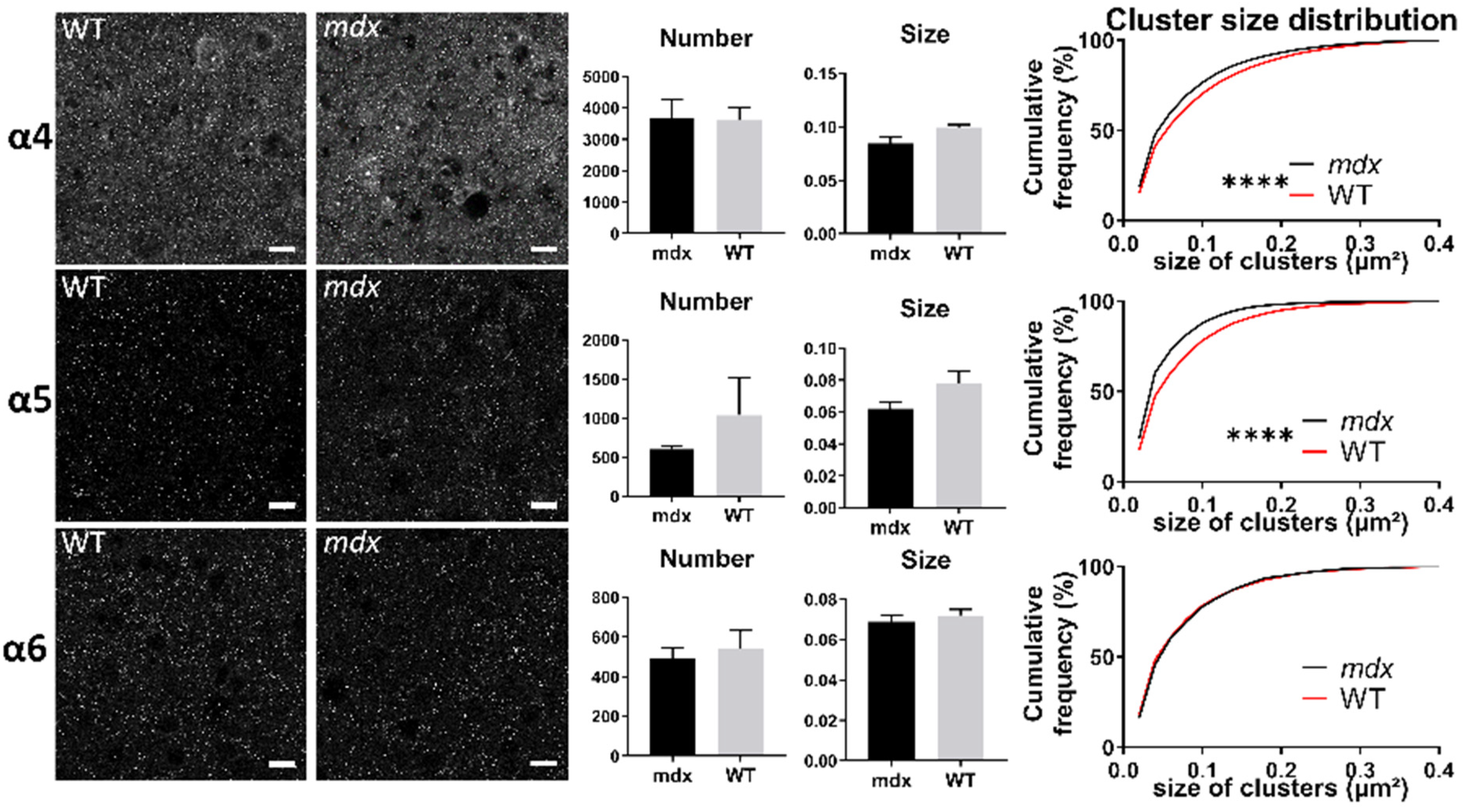 Ijms 23 12617 g009 Ijms 23 12617 g009