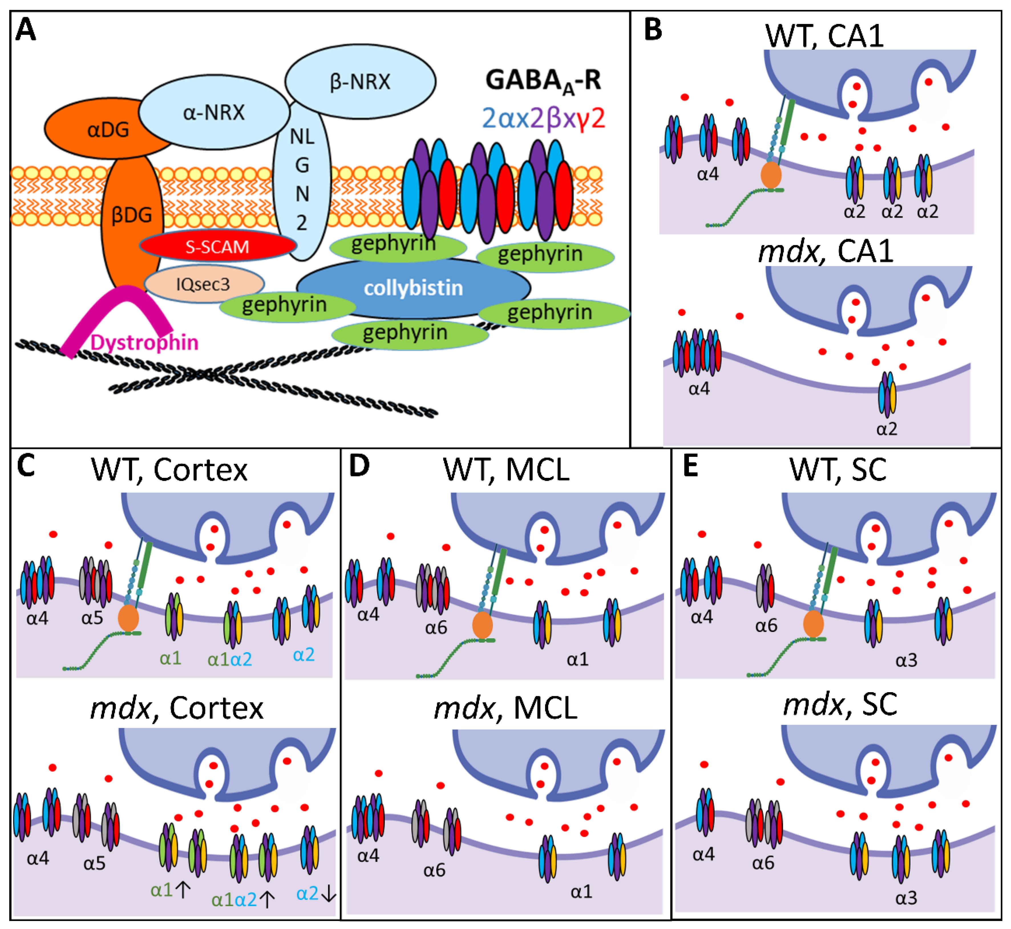 Ijms 23 12617 g010 Ijms 23 12617 g010