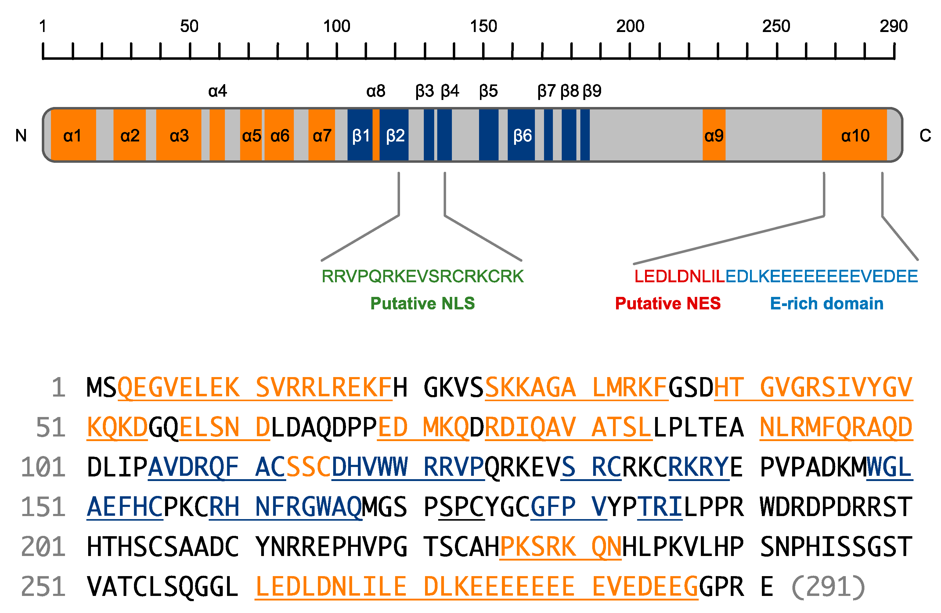 Ijms 23 12619 g002 Ijms 23 12619 g002